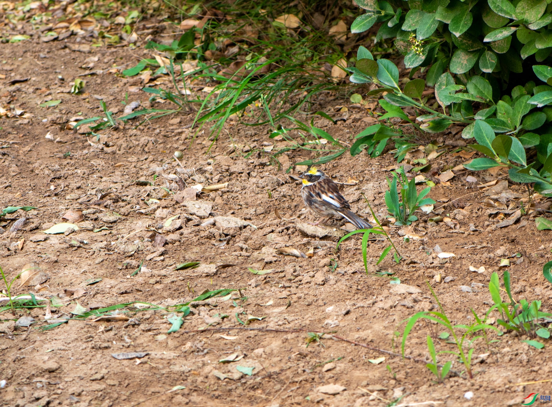 _DSC8053.jpg