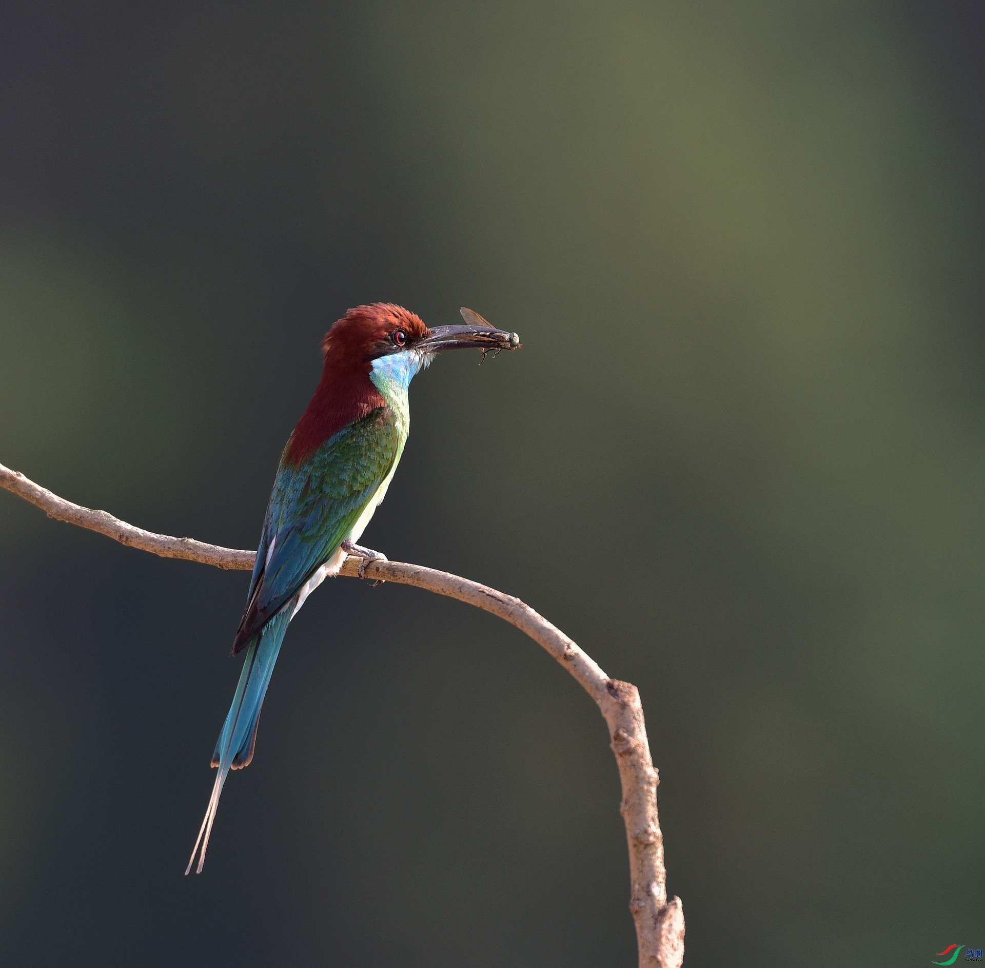D8I_6397.jpg