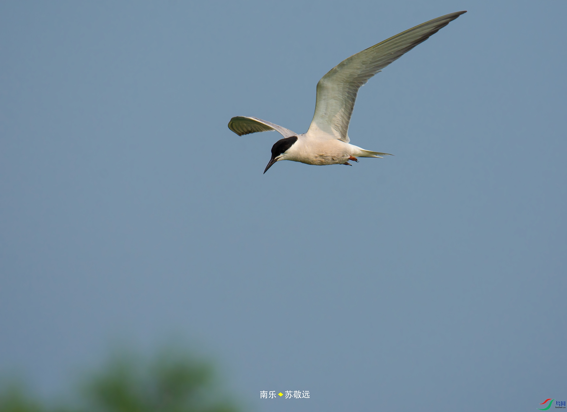 _DSC7483С.jpg