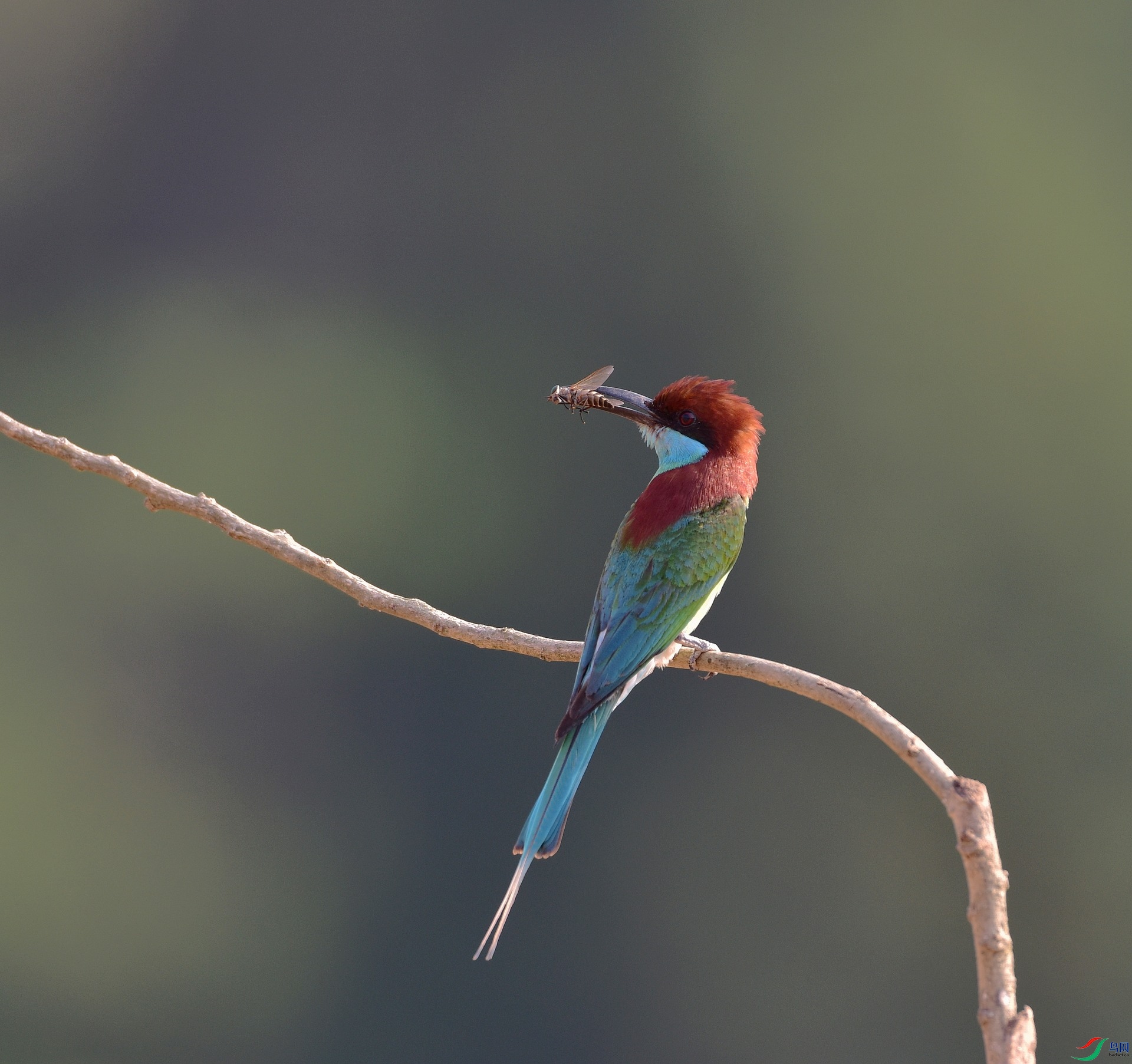 D8I_6375.jpg