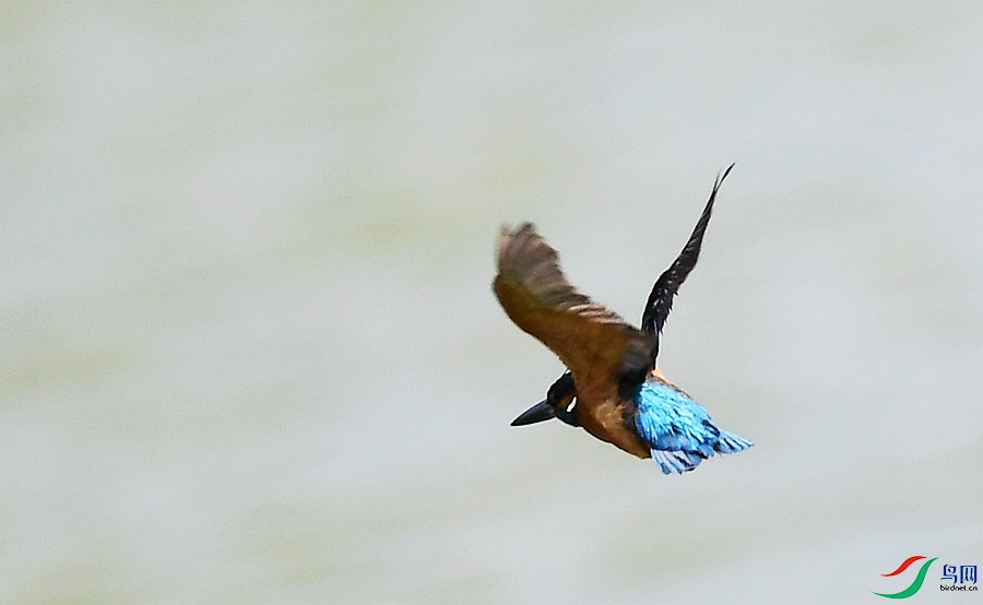 DSC_9572.JPG