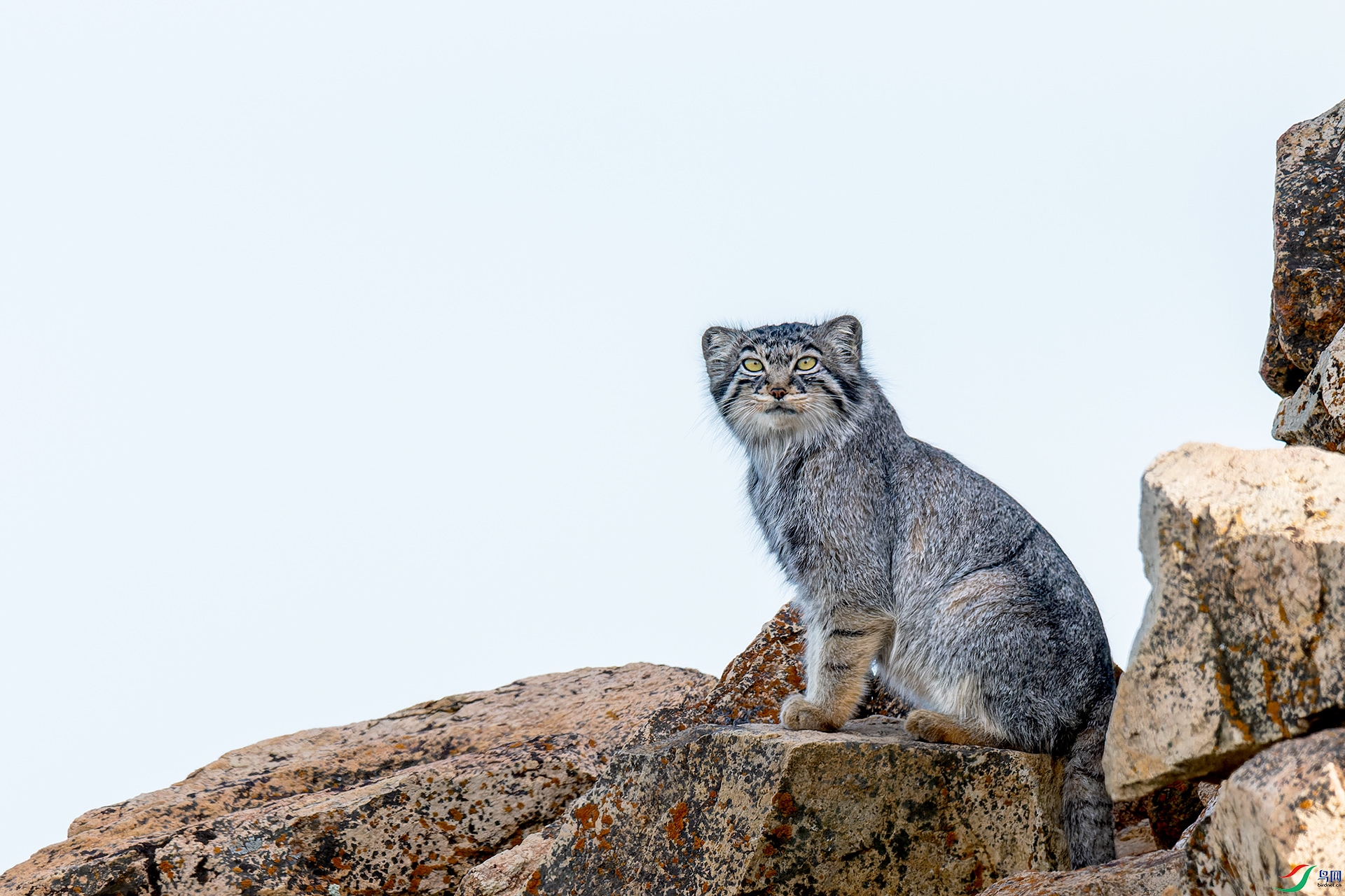 _DSC3686-NEF_DxO_DeepPRIME.jpg