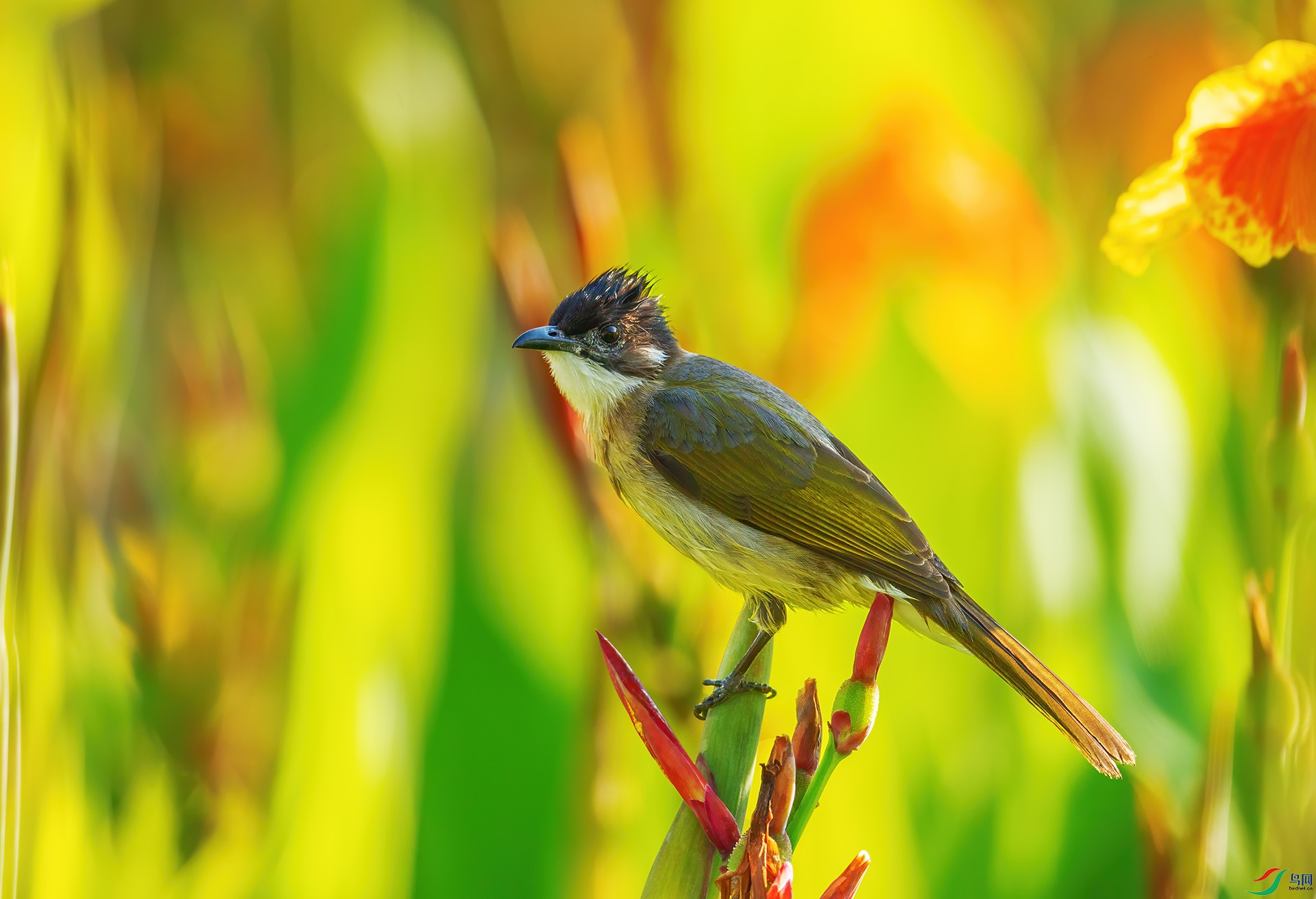 DSC_5965 ����.jpg