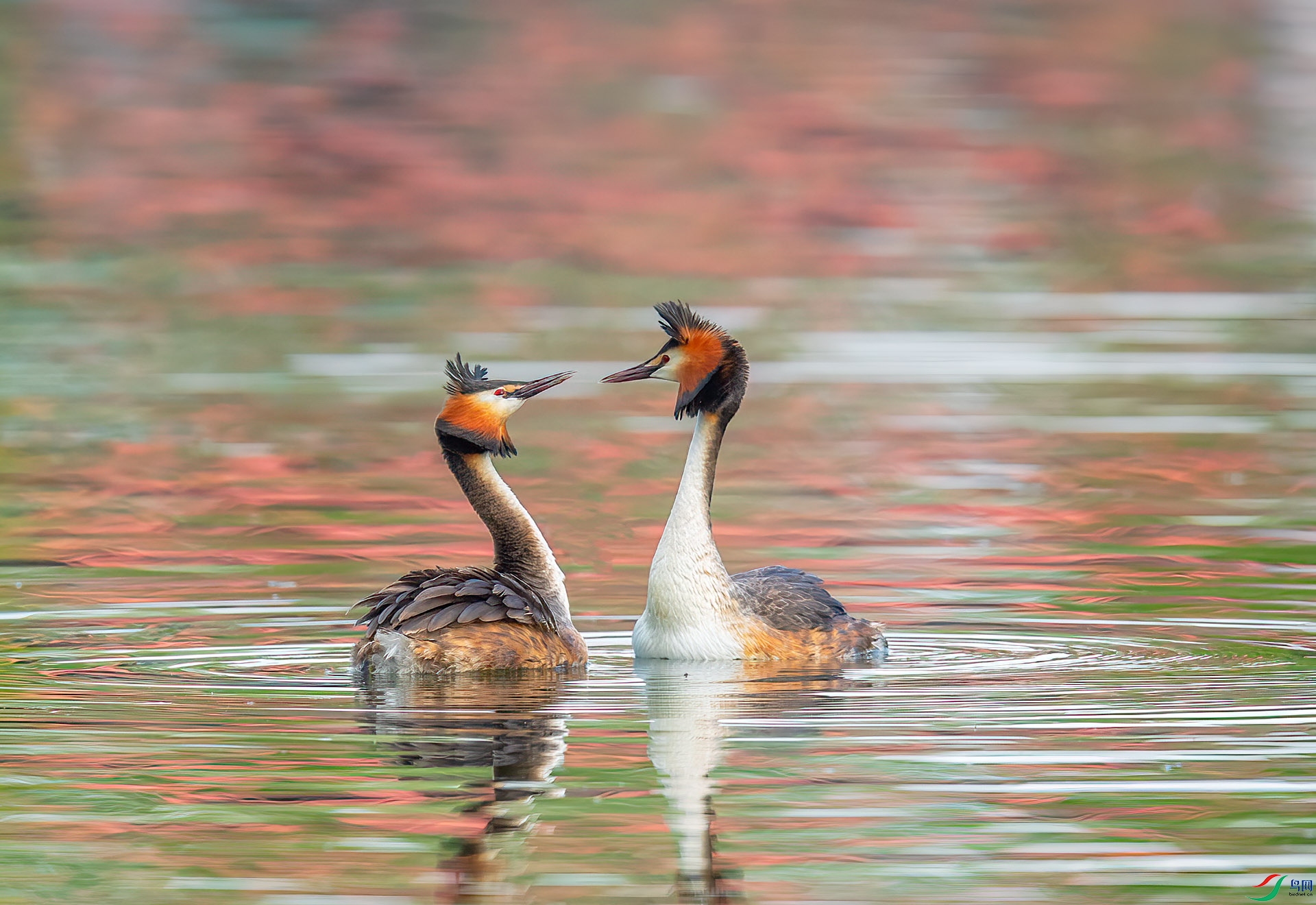 DSC_0760 ����.jpg