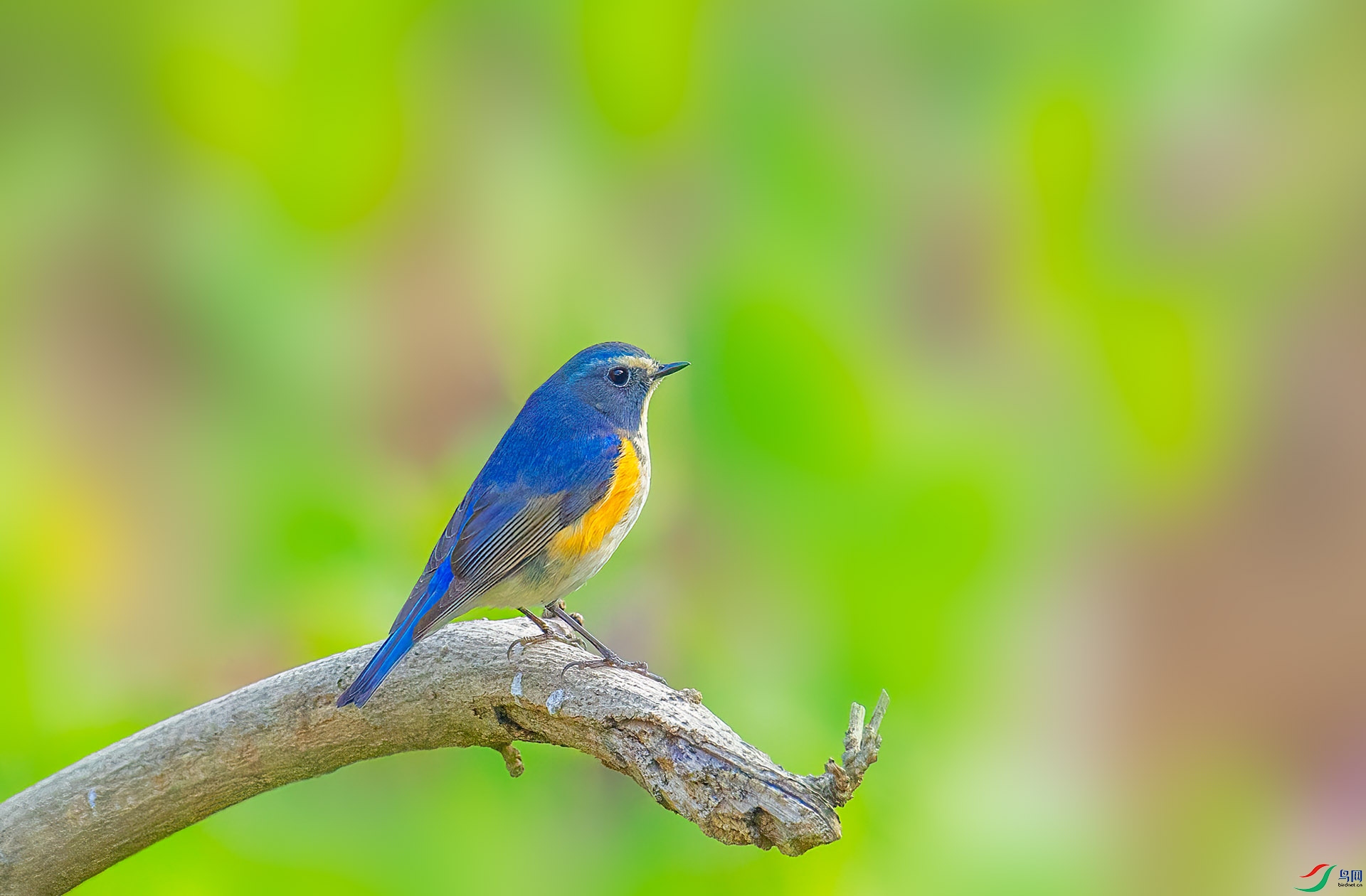 DSC_2138 ����.jpg