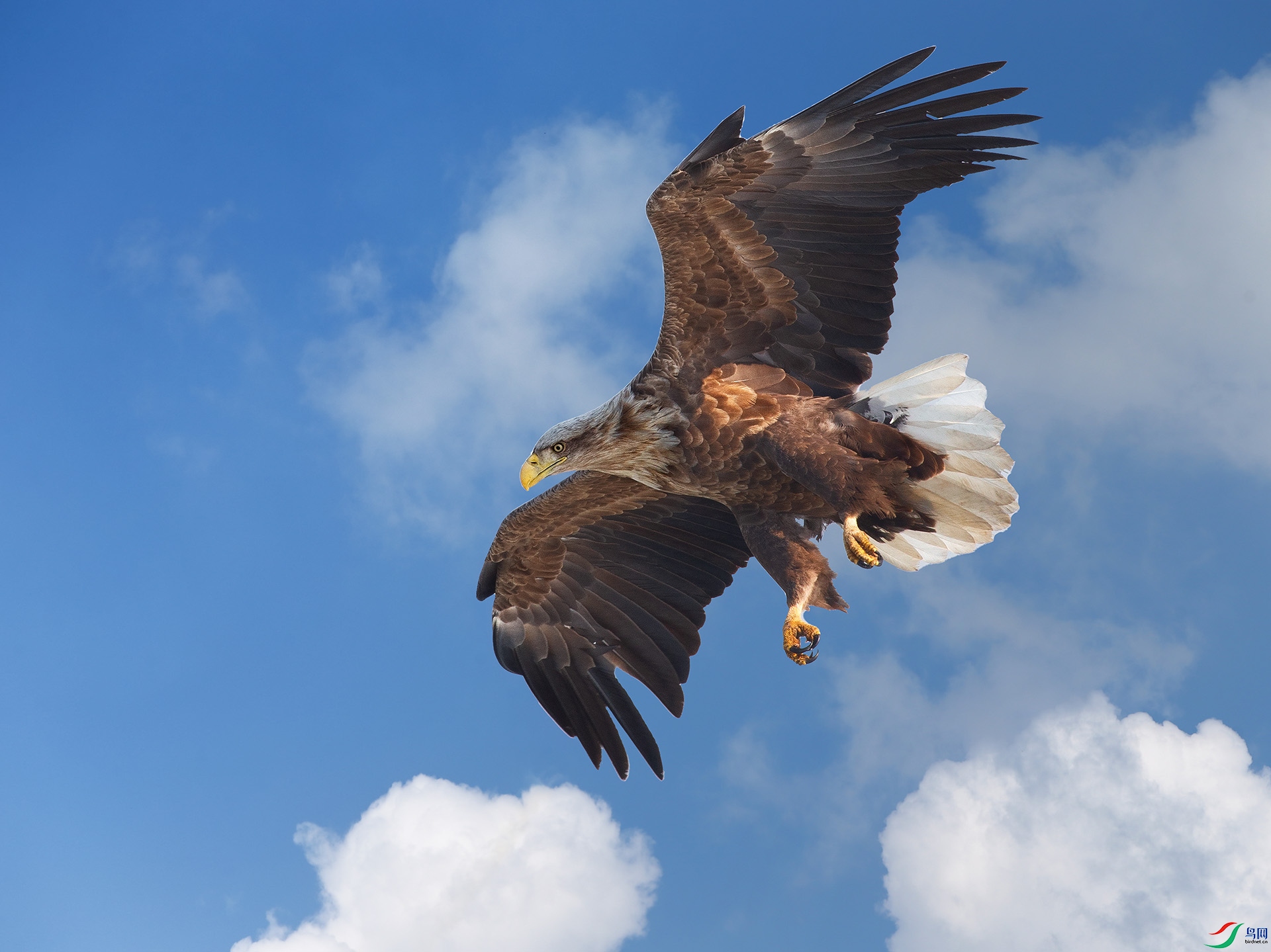 DM8W2238 ����.jpg