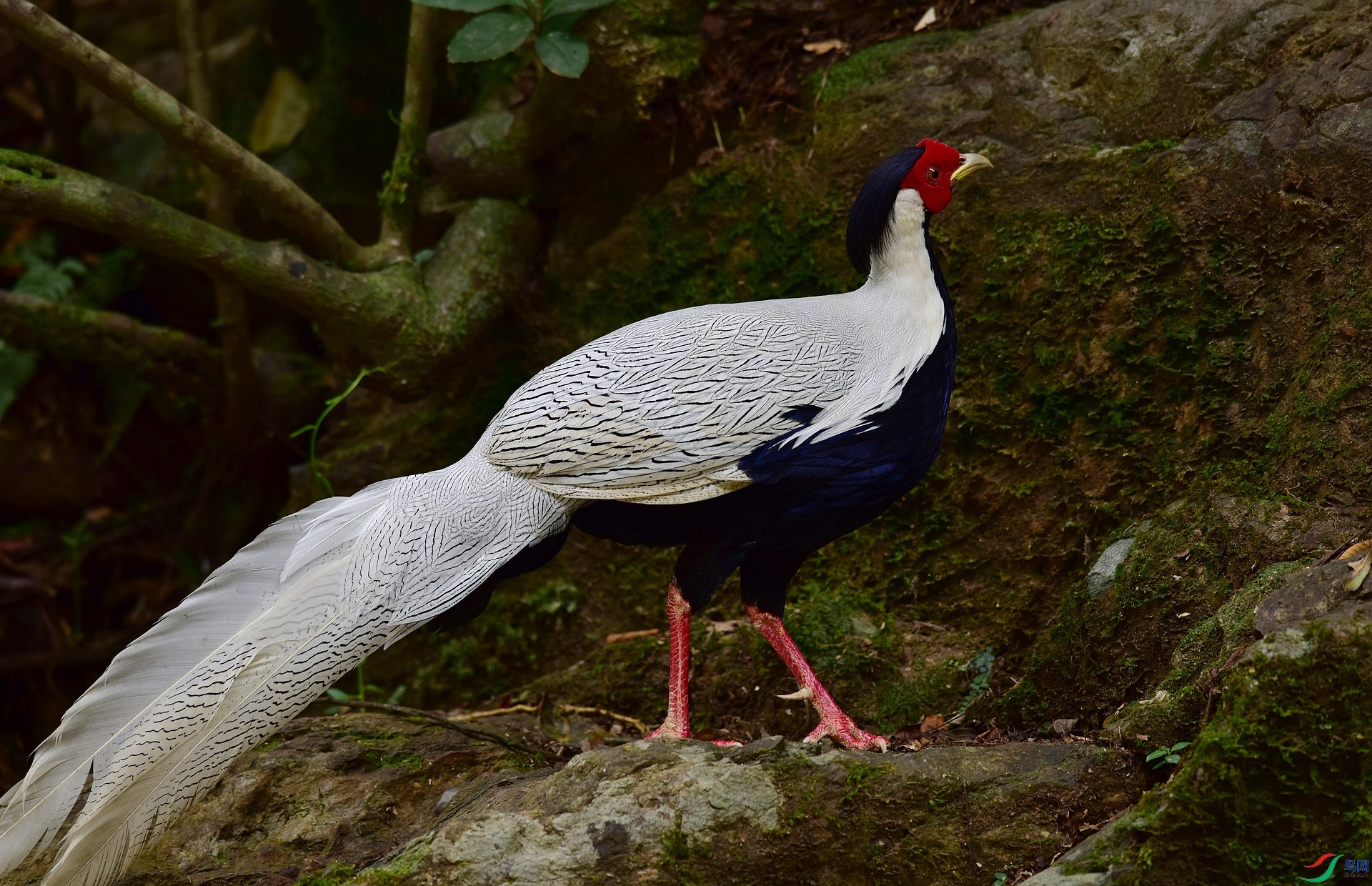 D8I_3900.jpg