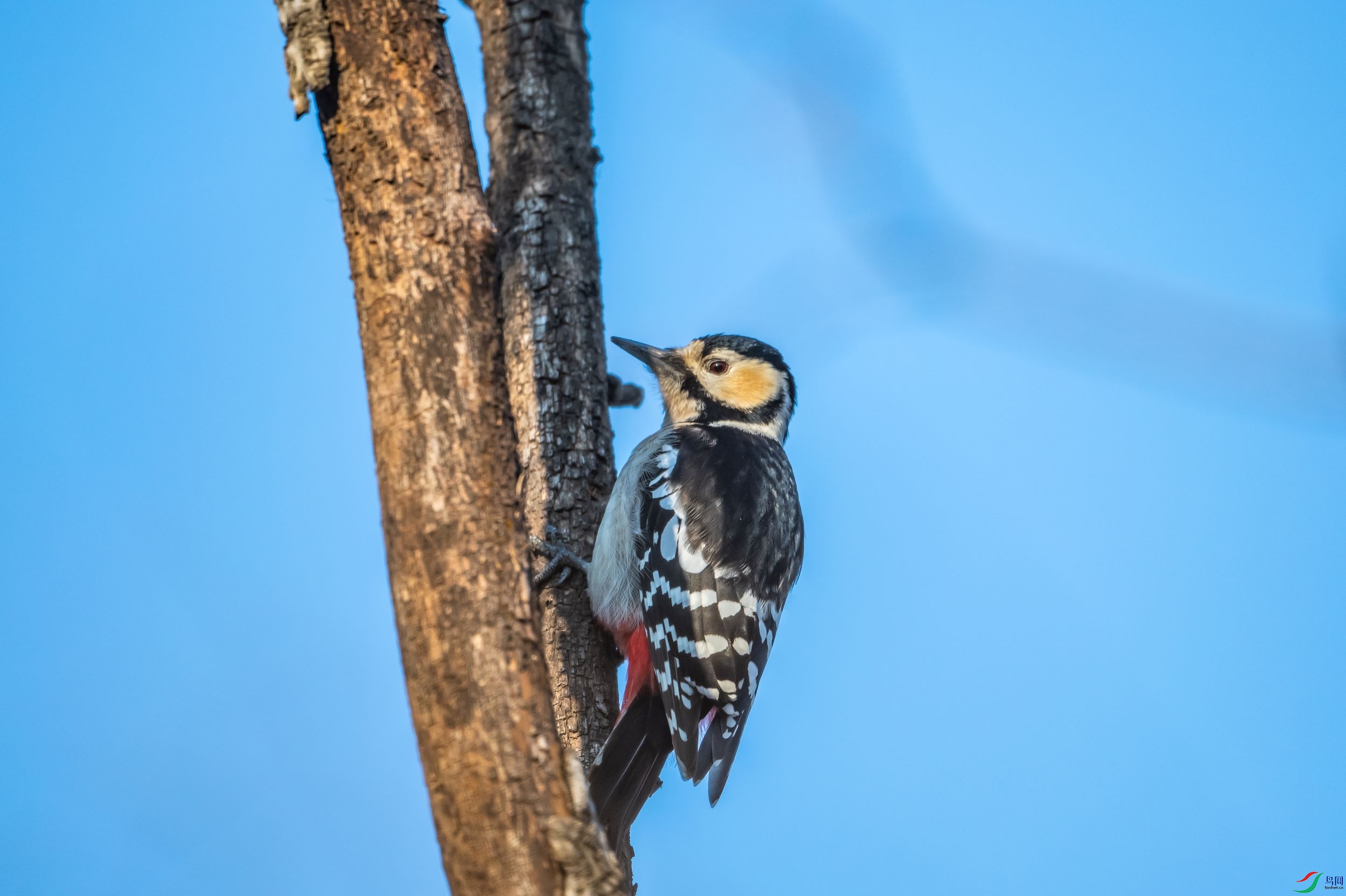 �����ľ��