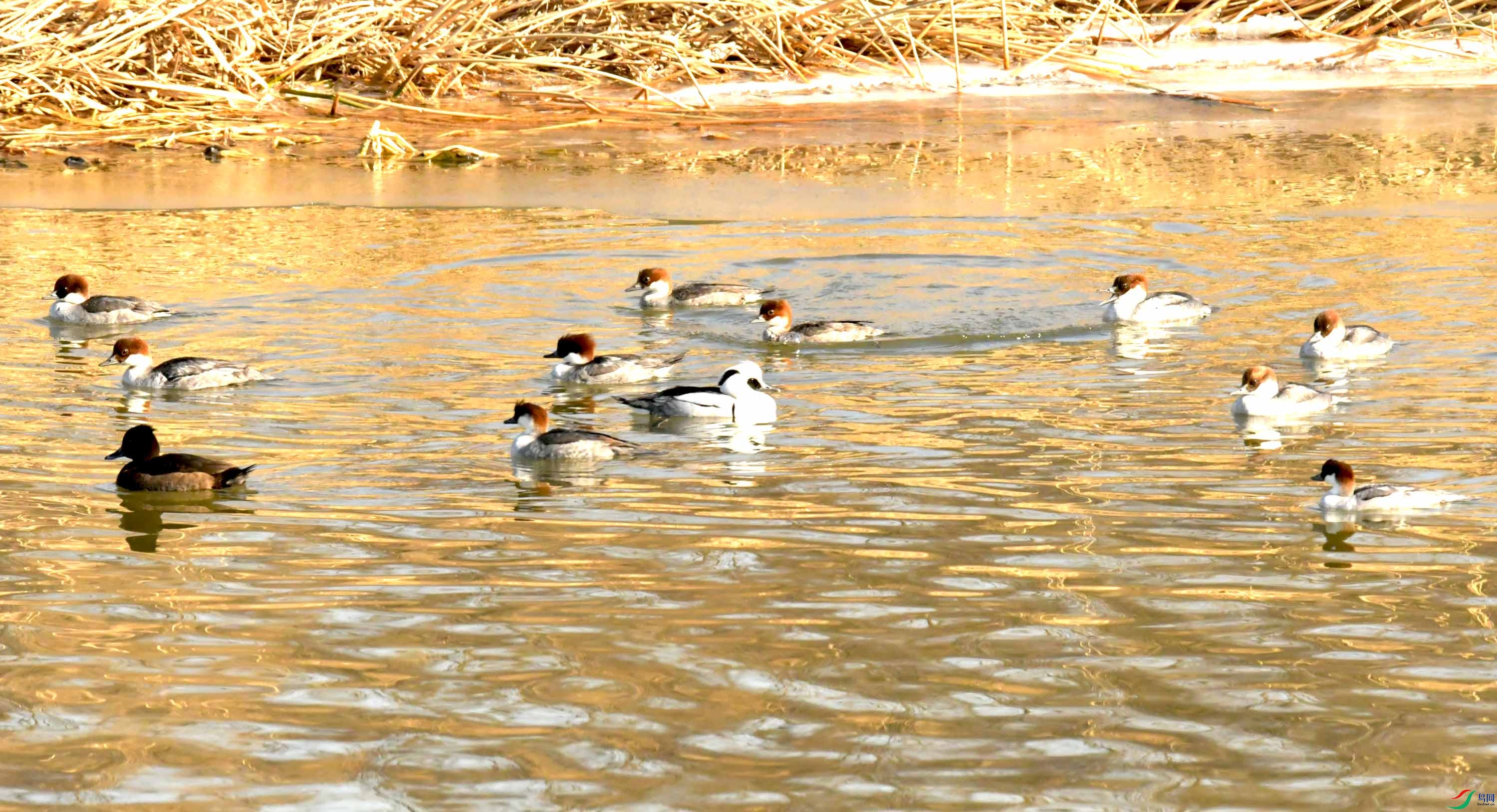 Copy2_DSC_2186.JPG