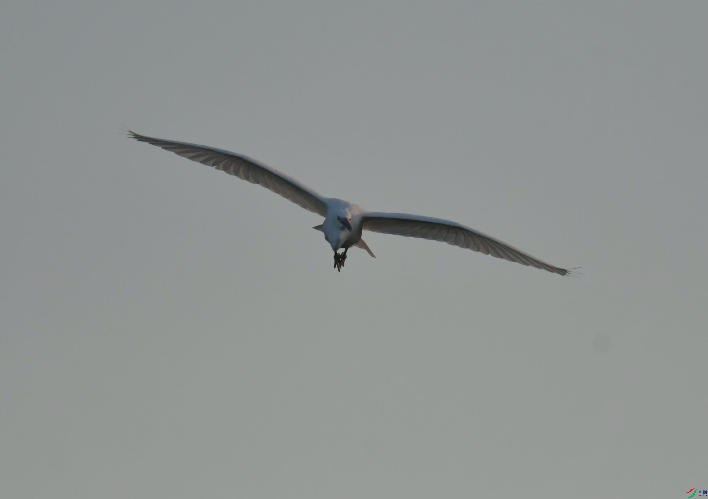 DSC_9187.JPG