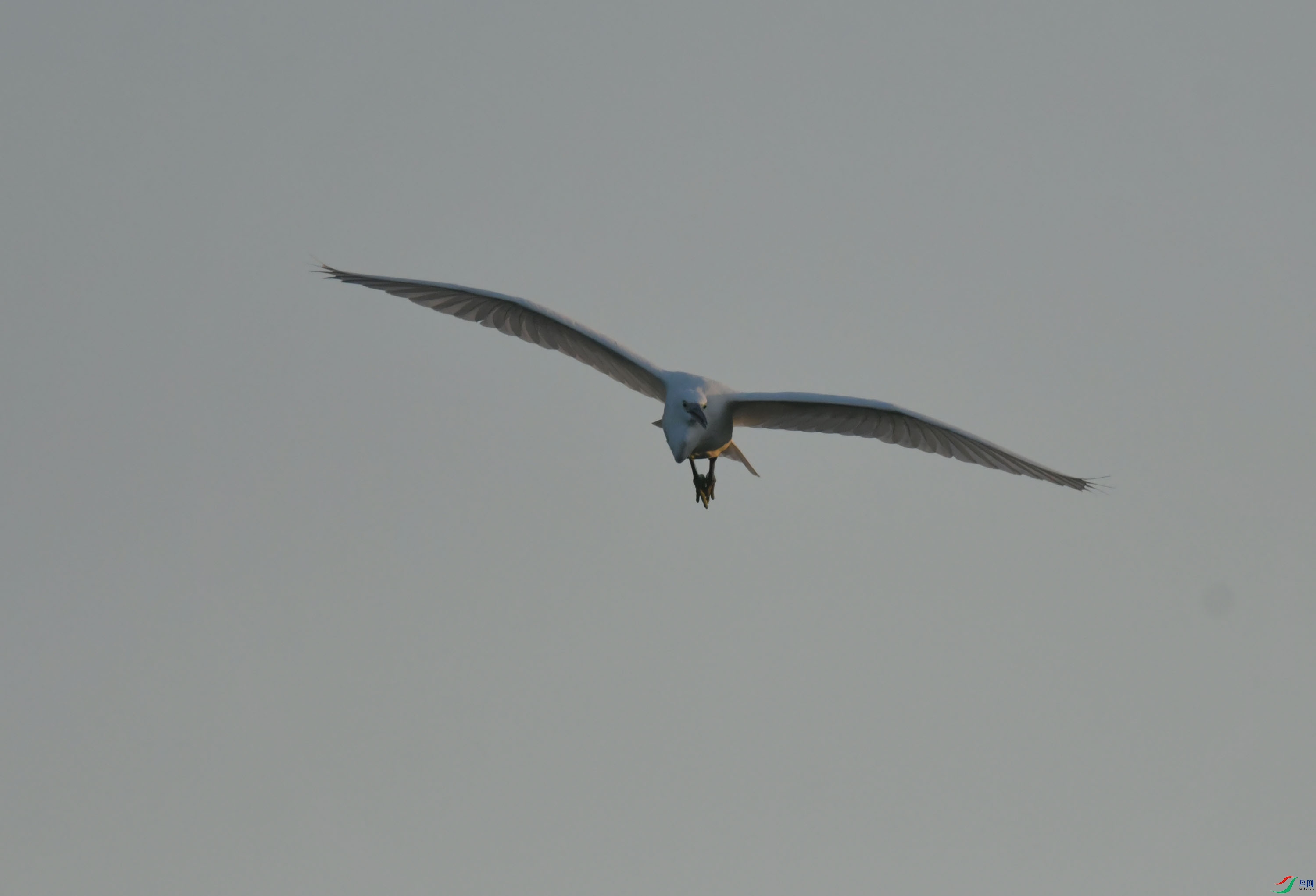 DSC_9186.JPG