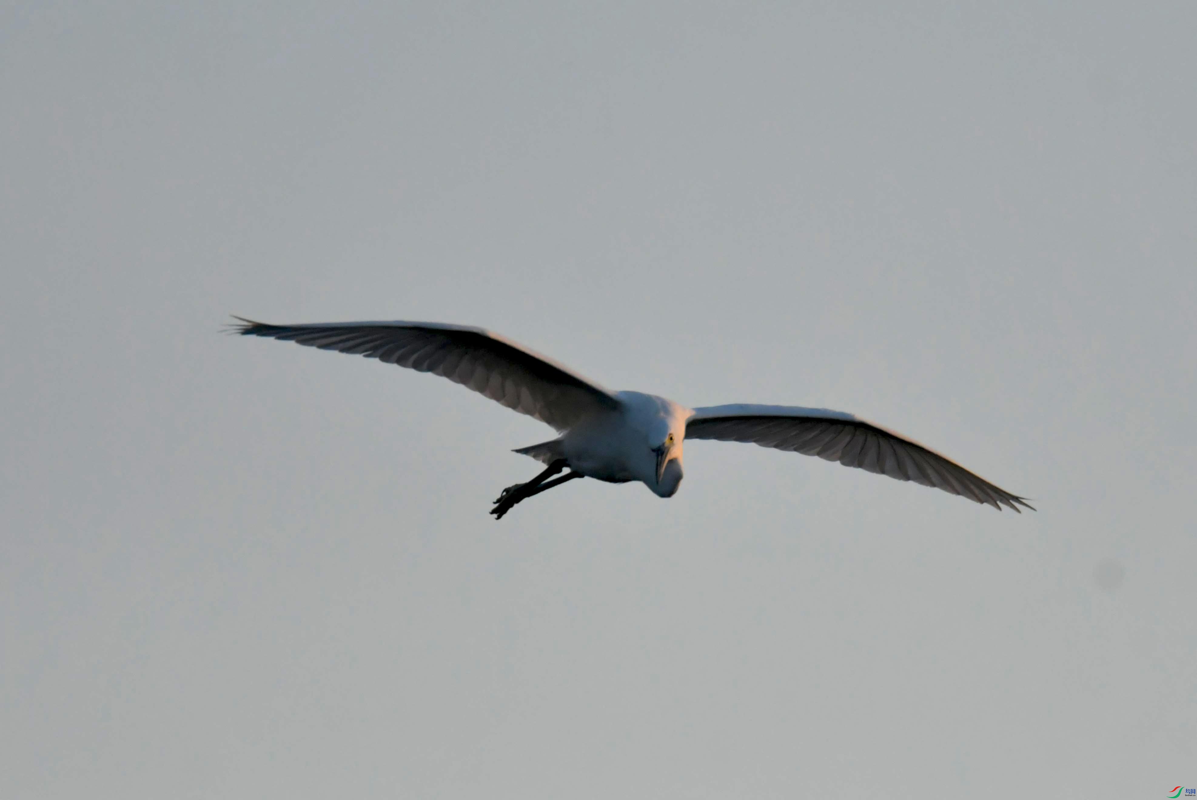 DSC_9189.JPG