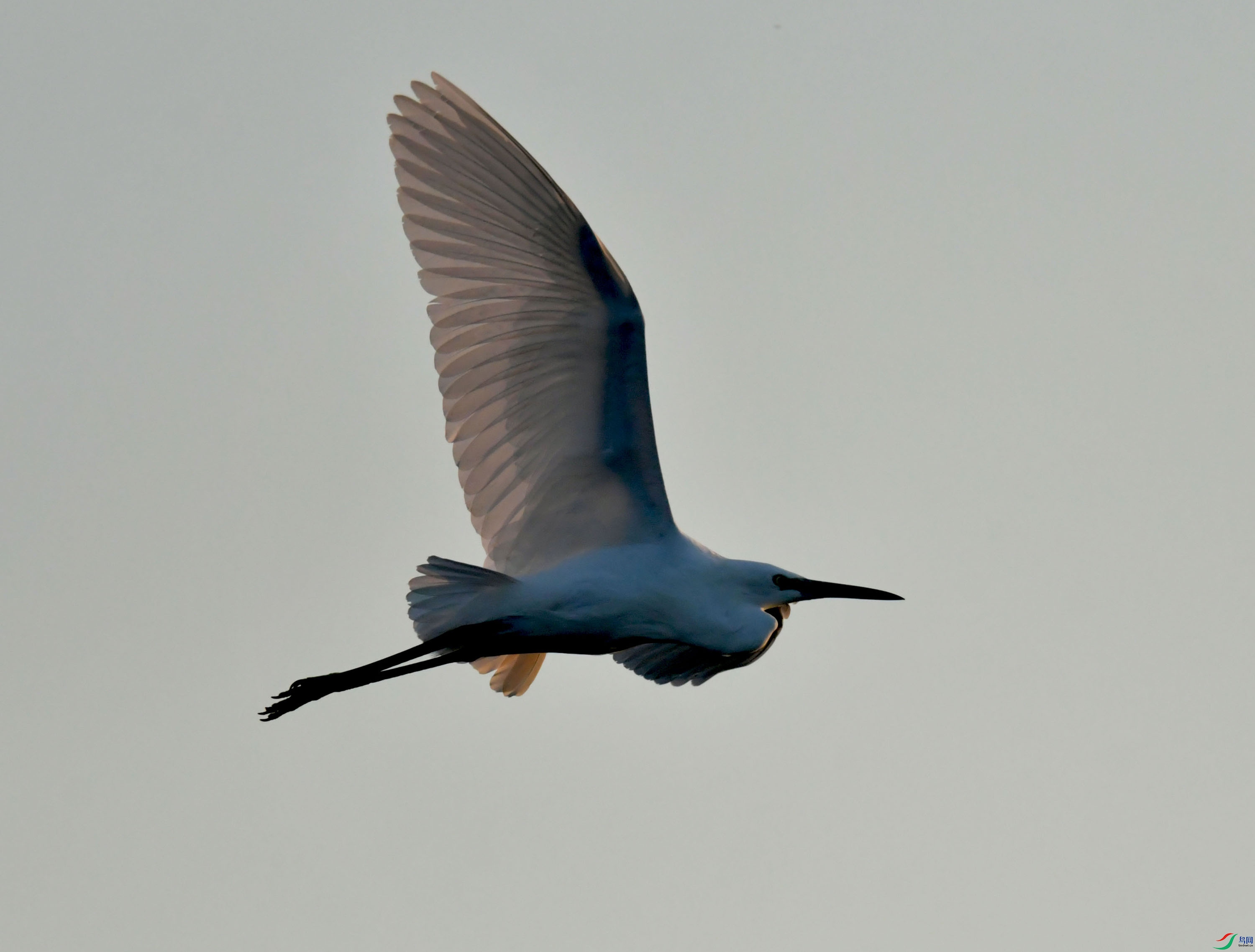 DSC_9193.JPG