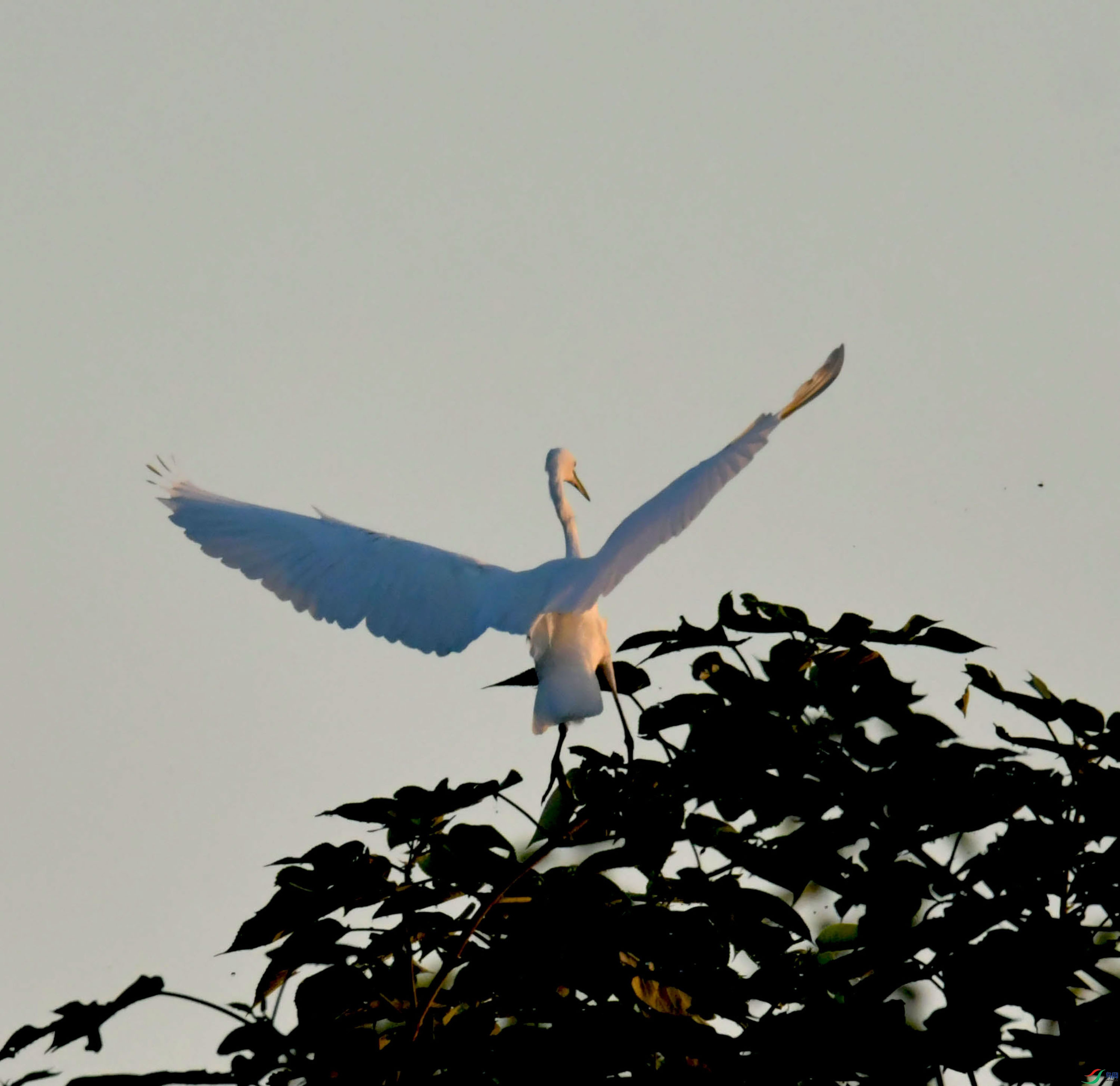 DSC_9200.JPG