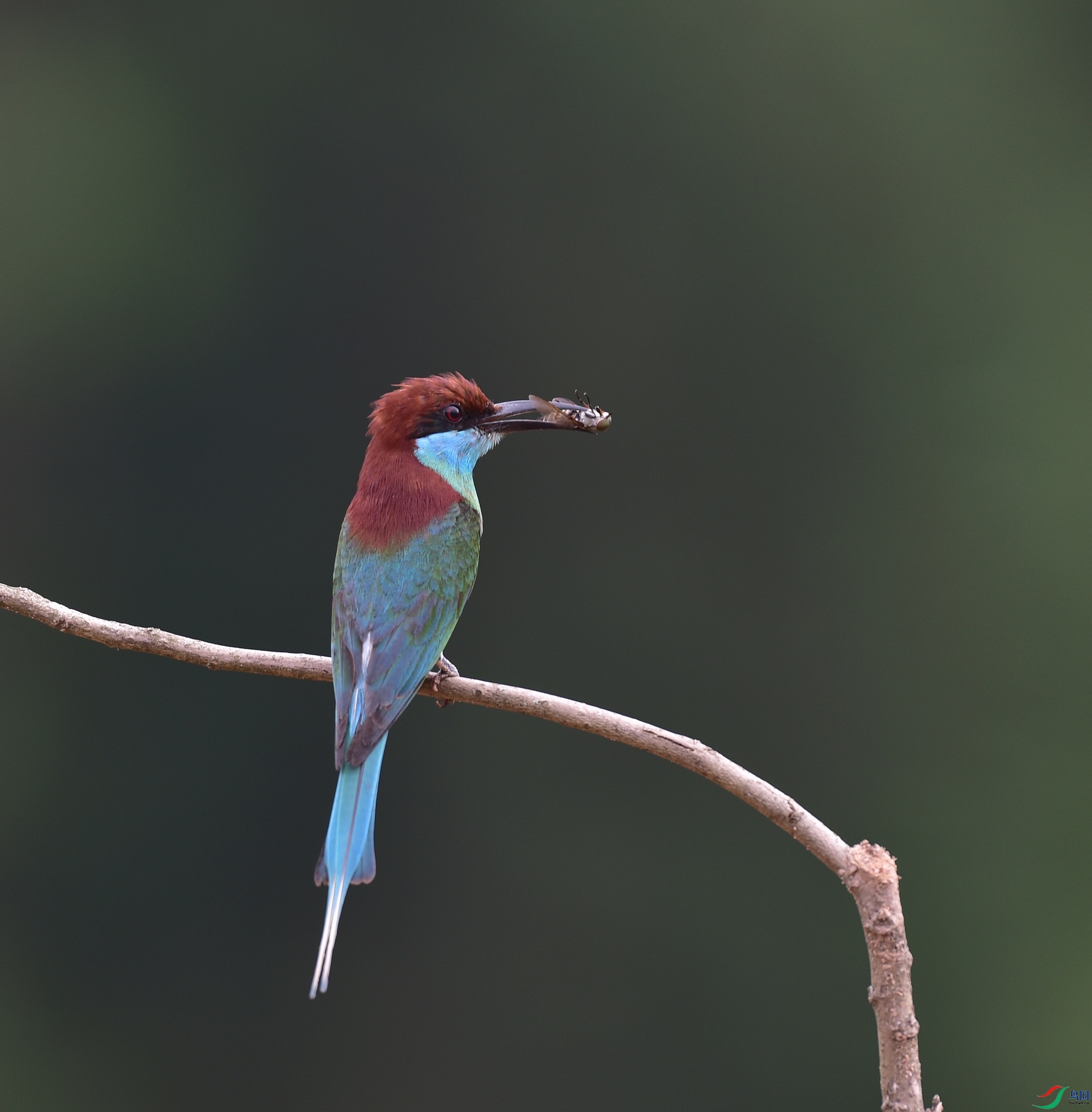 D8I_1483.jpg