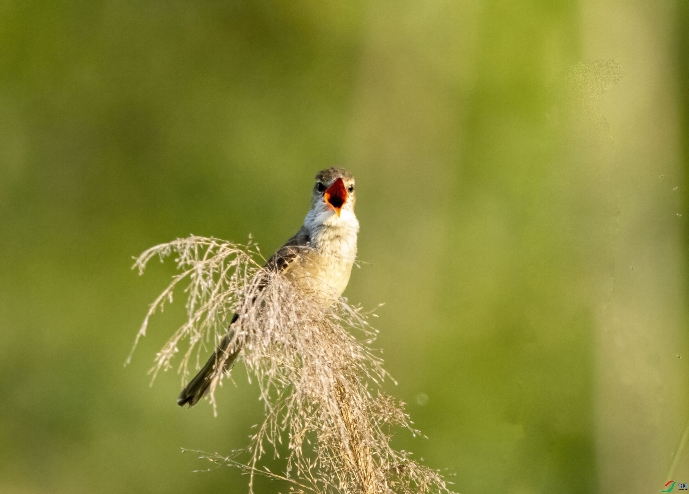 3G1A3716(2)(2).jpg