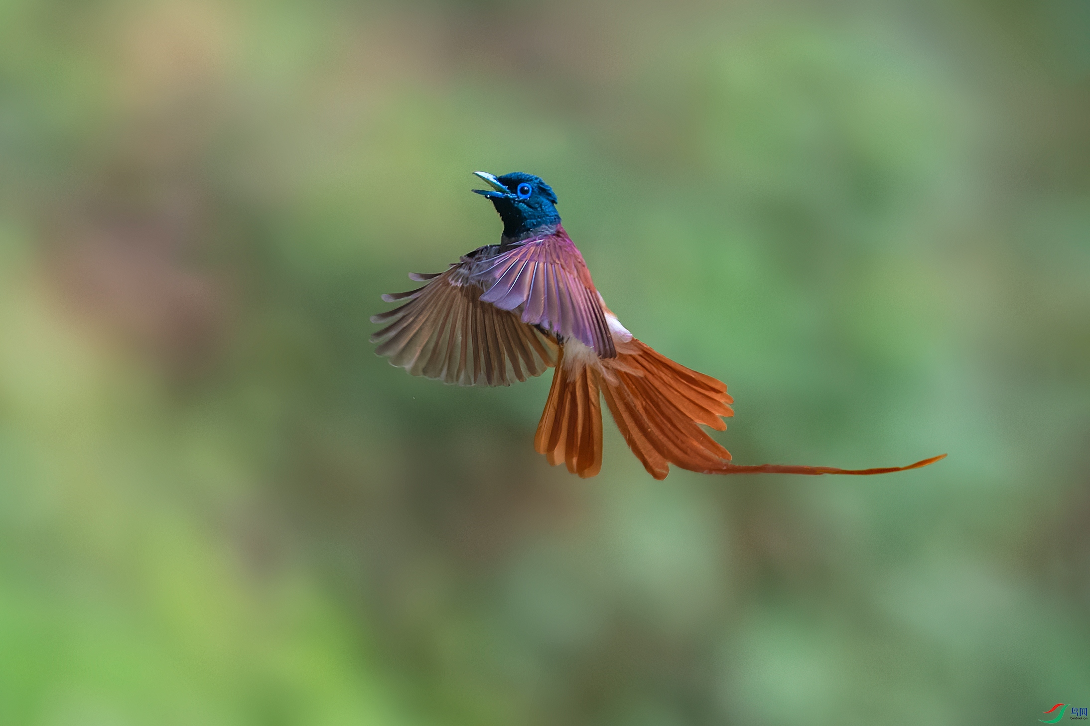DSC_5954.jpg
