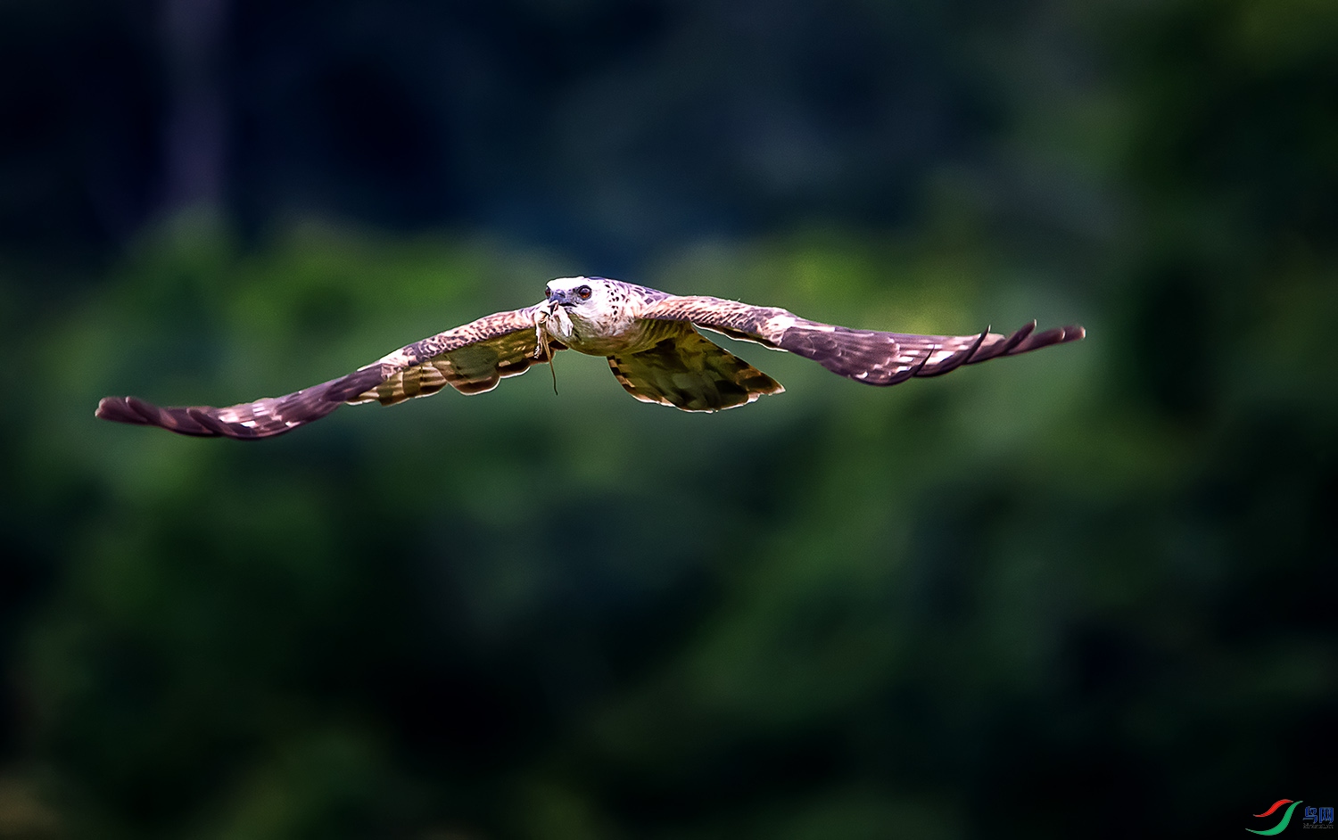 DSC_5283a.jpg