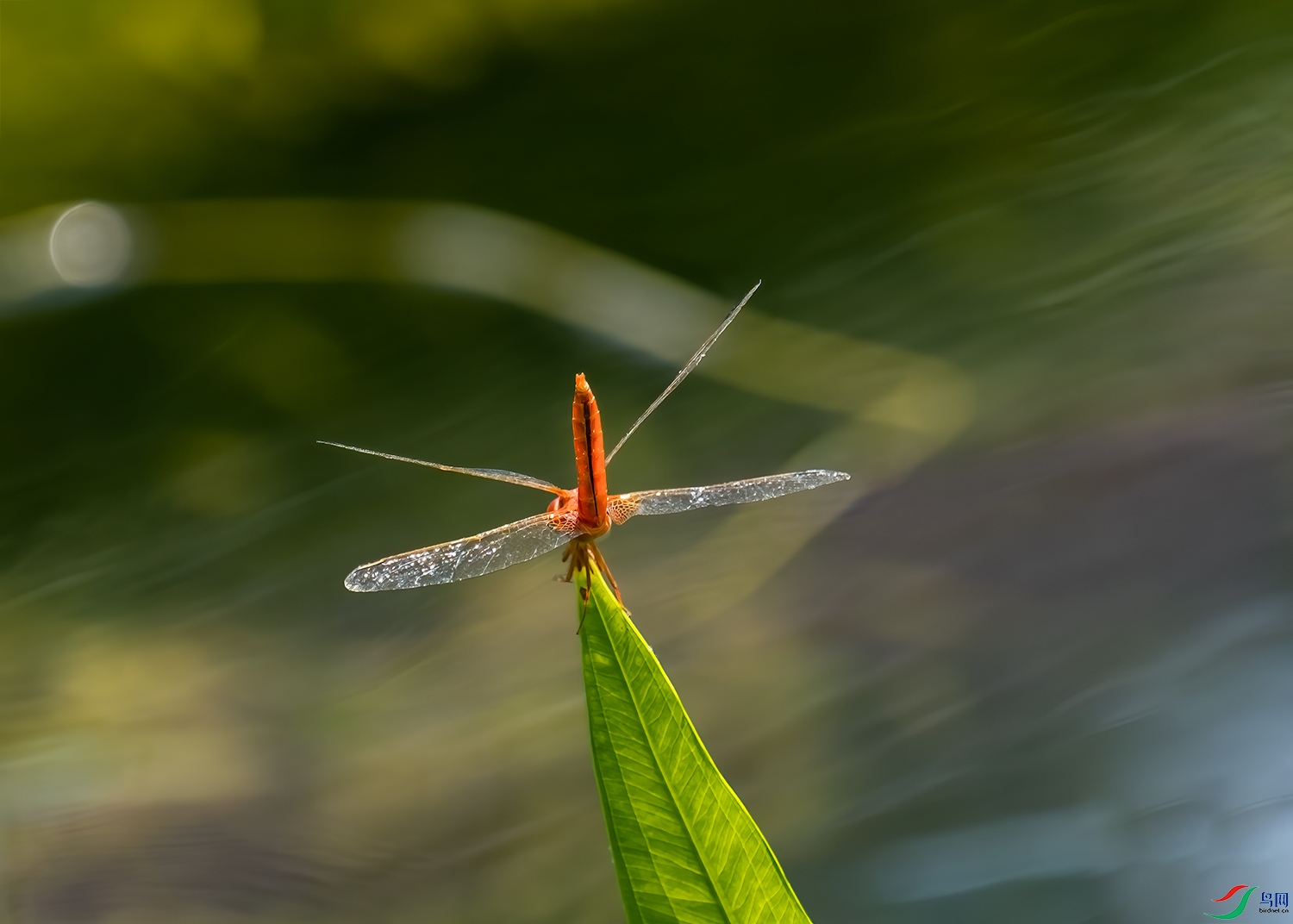 DSCF1356-2.jpg