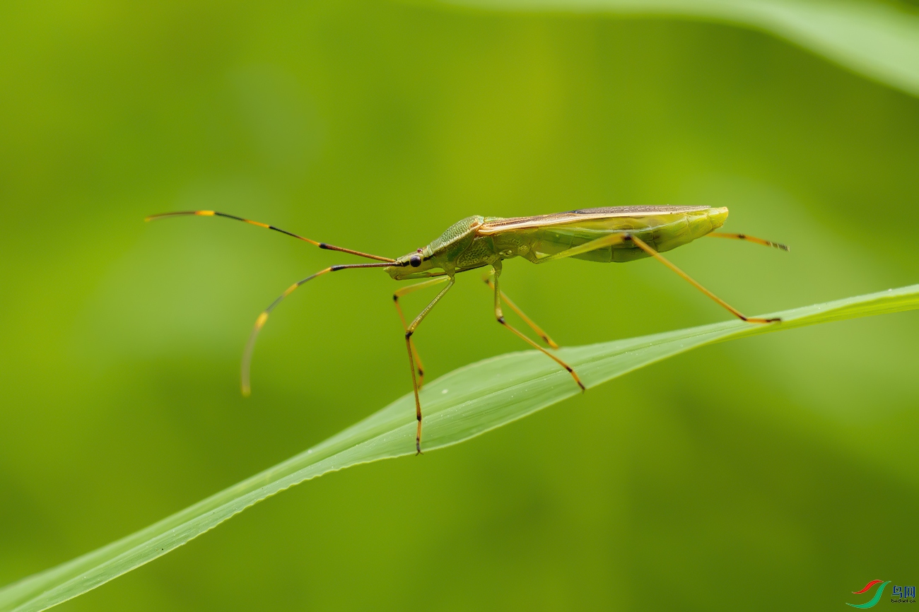 DSC_0860----.jpg
