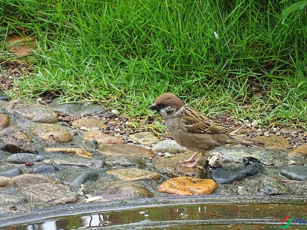 DSC02088.JPG