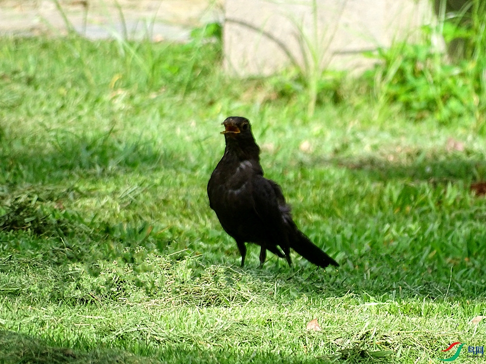 DSC02293.JPG