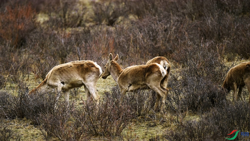 _DSC5590_����.jpg