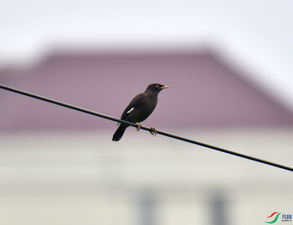 DSC_5980.jpg