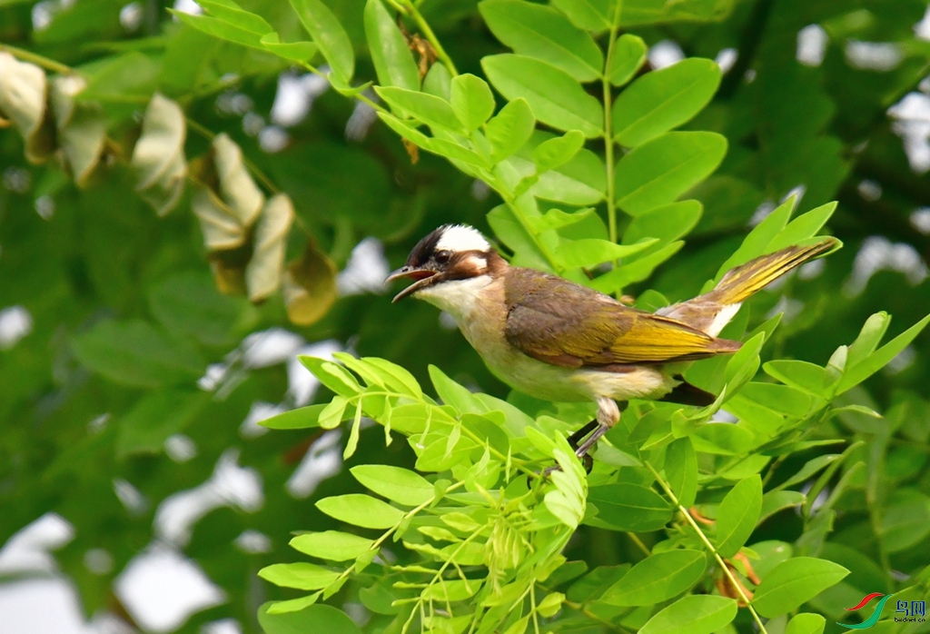 DSC_6072.jpg