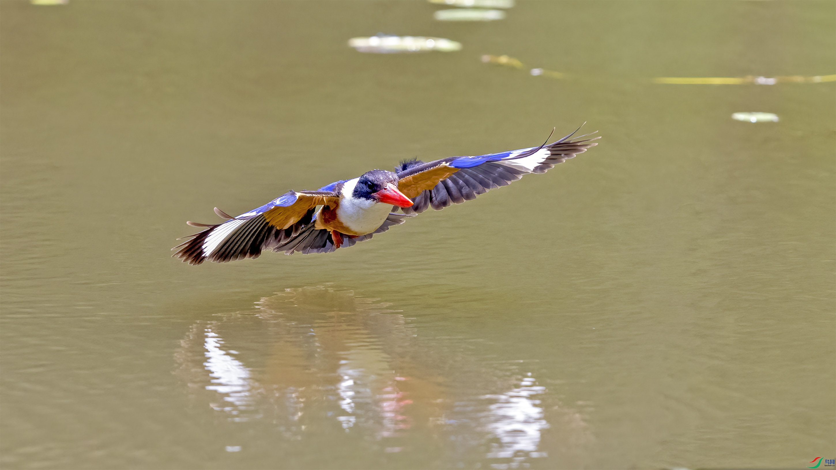 _T0A6312-�༭ ����.jpg