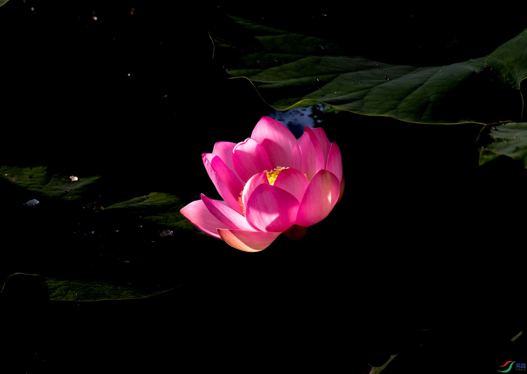 DSC_2086.jpg