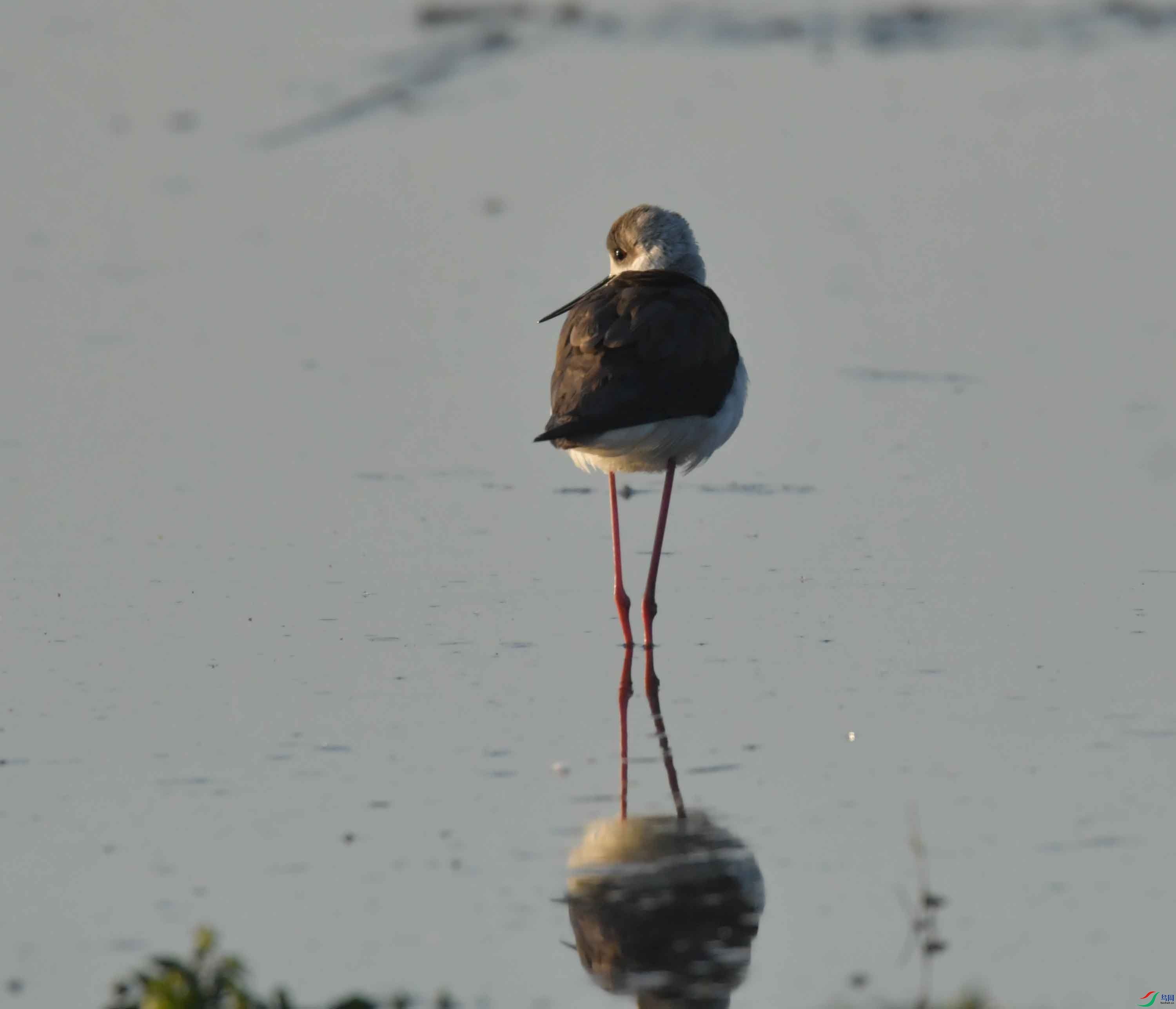 DSC_0064.JPG