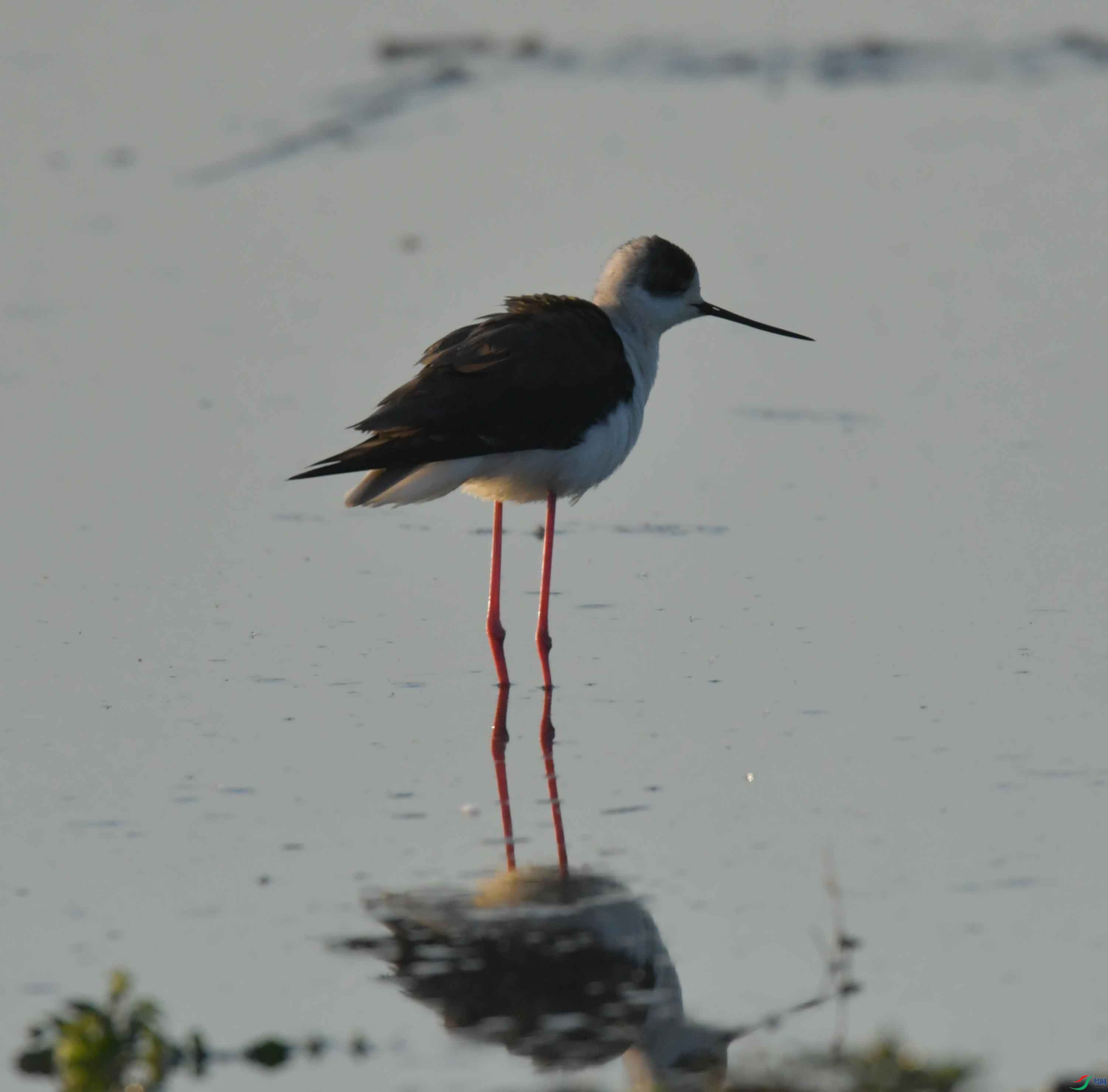 DSC_0067.JPG