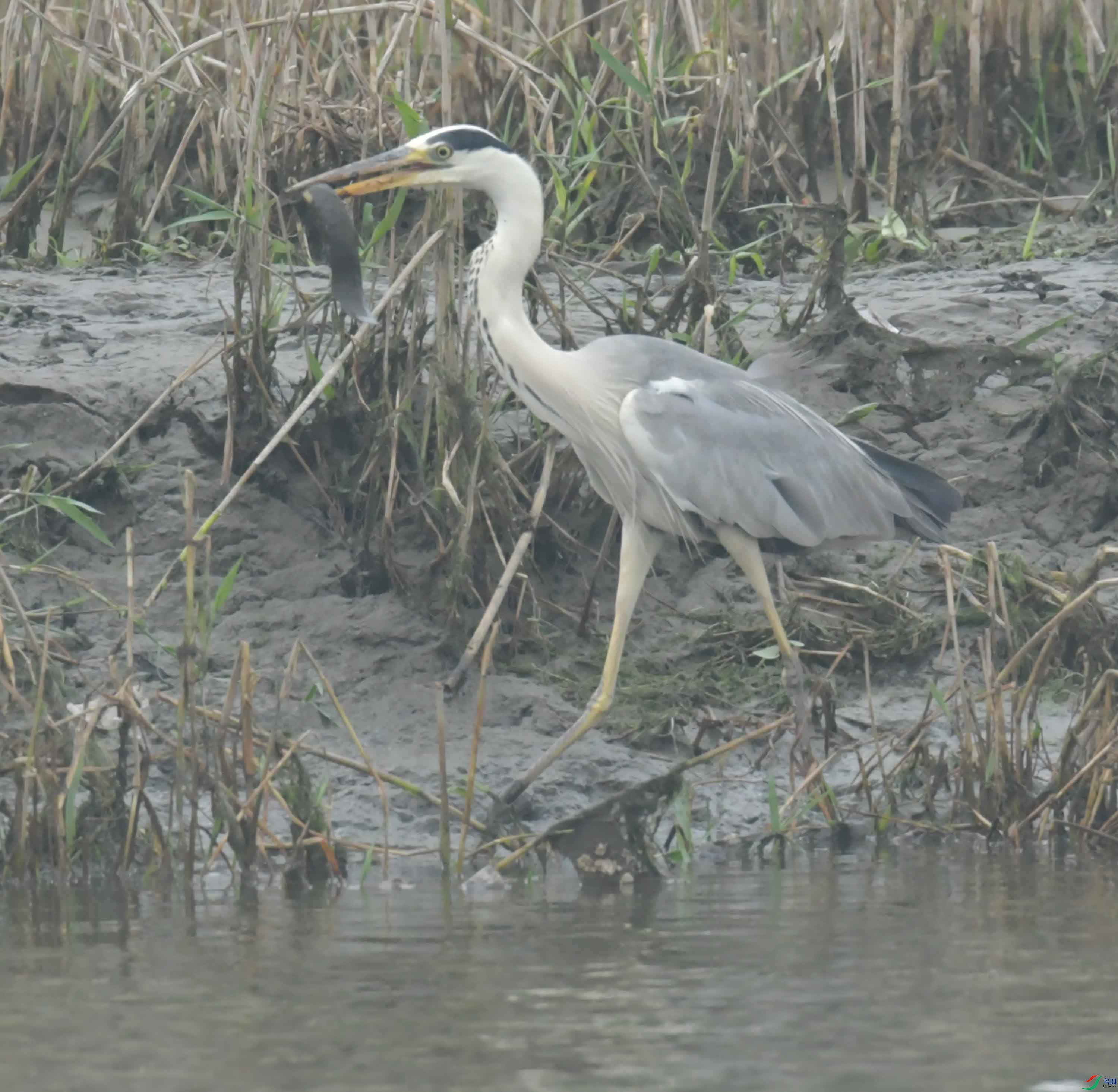 DSC_0077.JPG