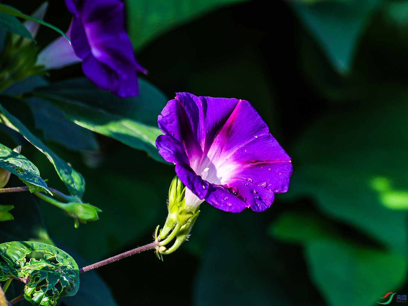 1K3A0797 ���� 1.jpg