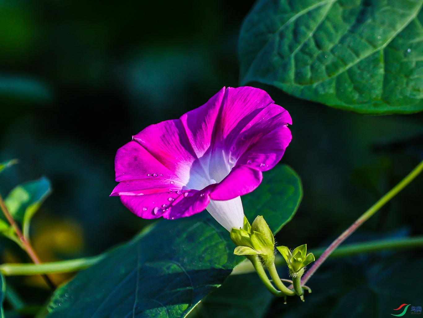 1K3A0801 ���� 1.jpg