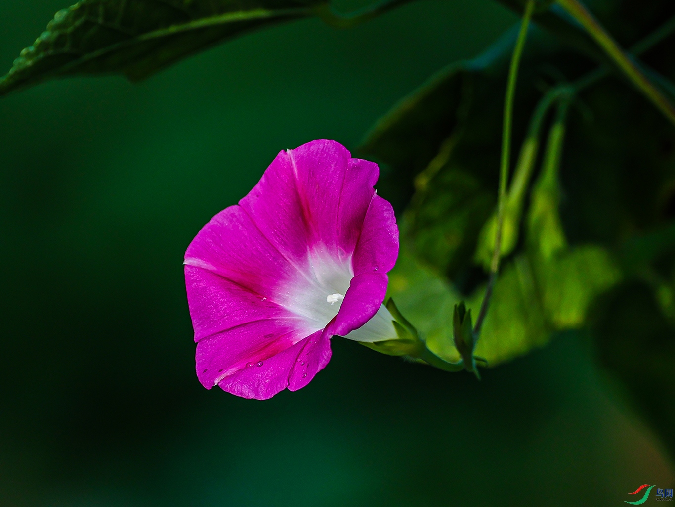 1K3A0800 ���� 1.jpg