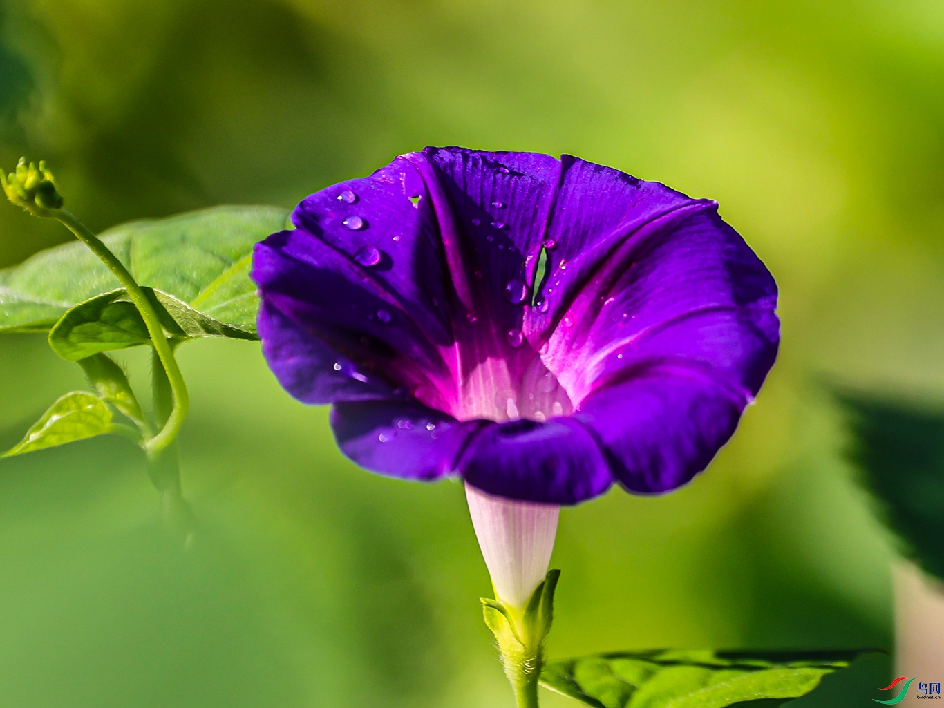 1K3A0809 ���� 1.jpg