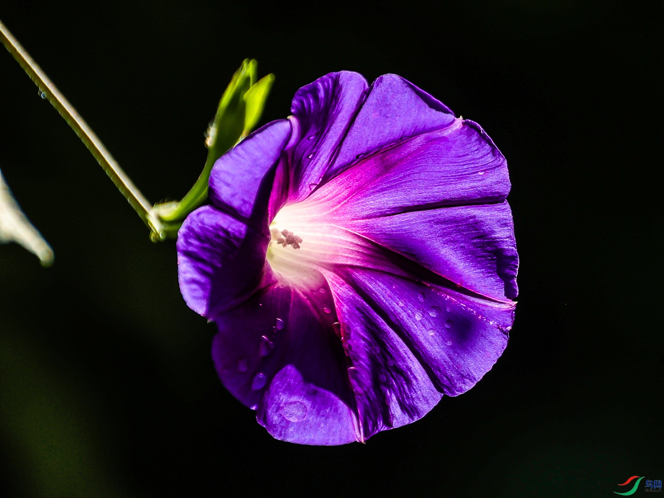 1K3A0811 ���� 1.jpg