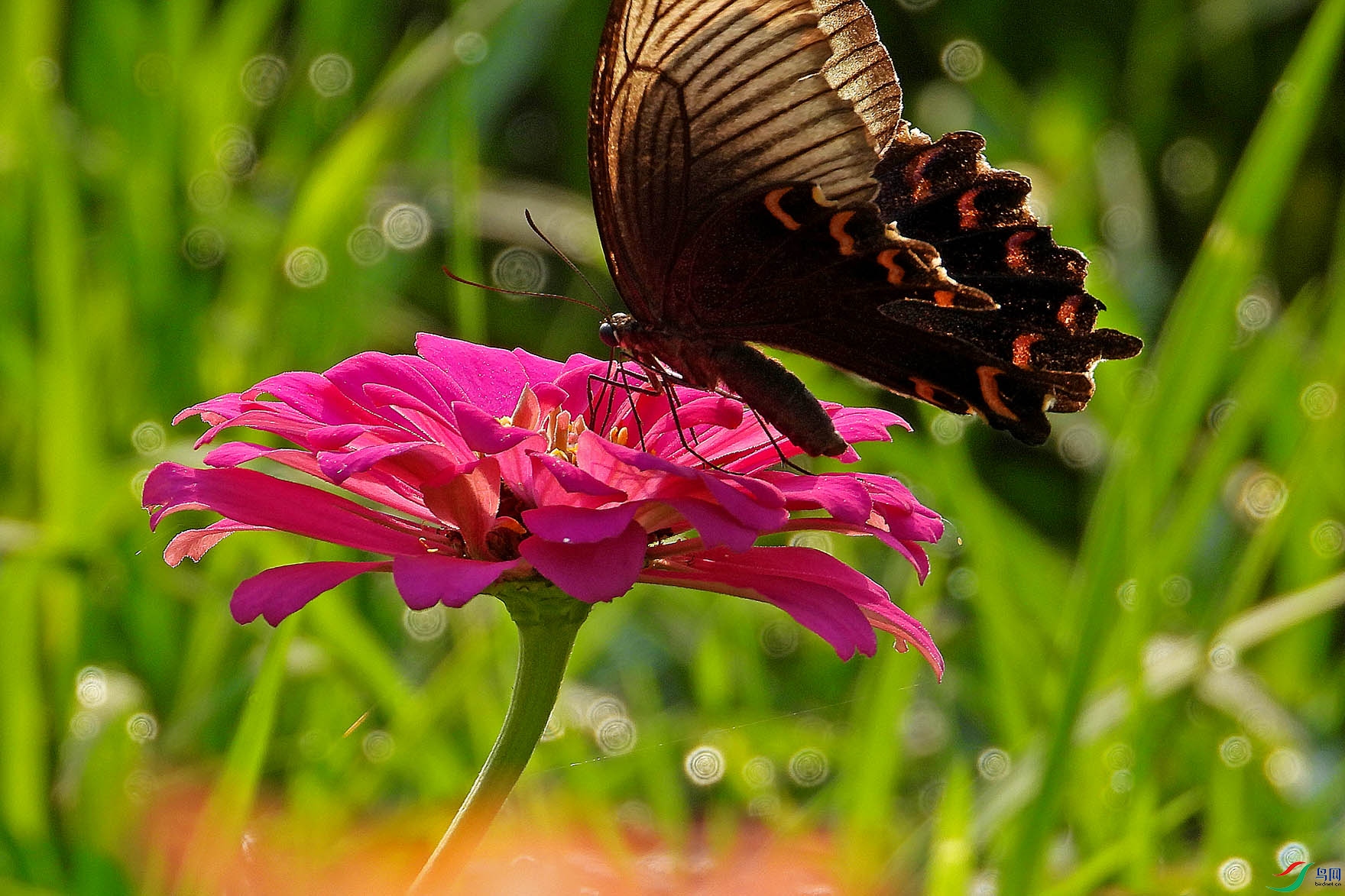 DSCN4207.jpg