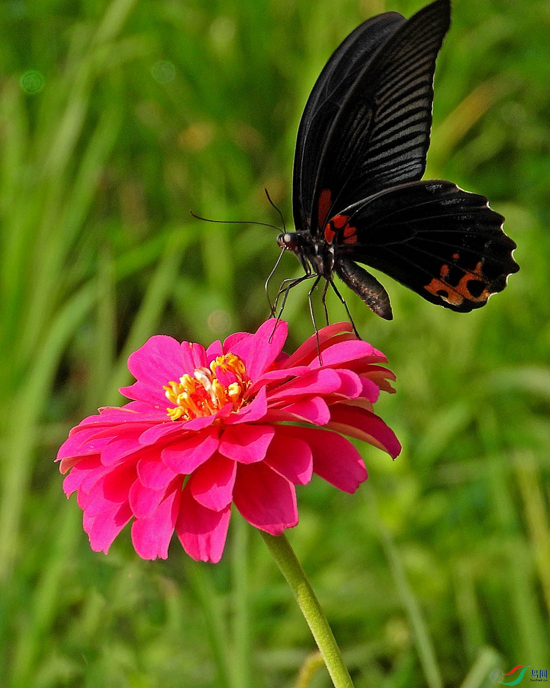 DSCN4277.jpg