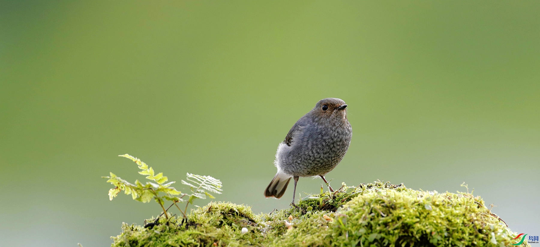 _E2I9417_����.jpg