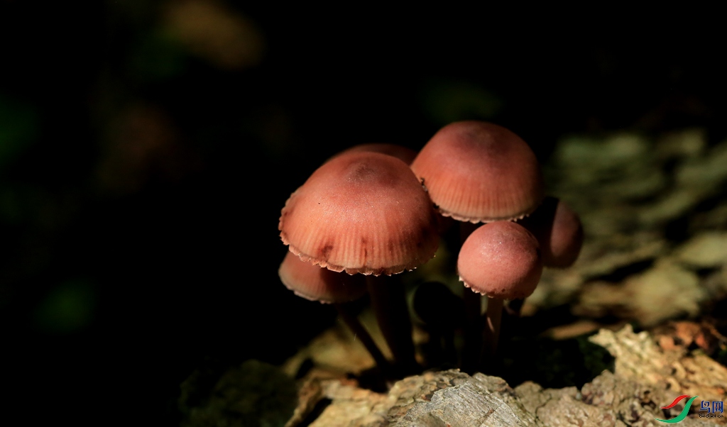 8E8A6565ab.jpg