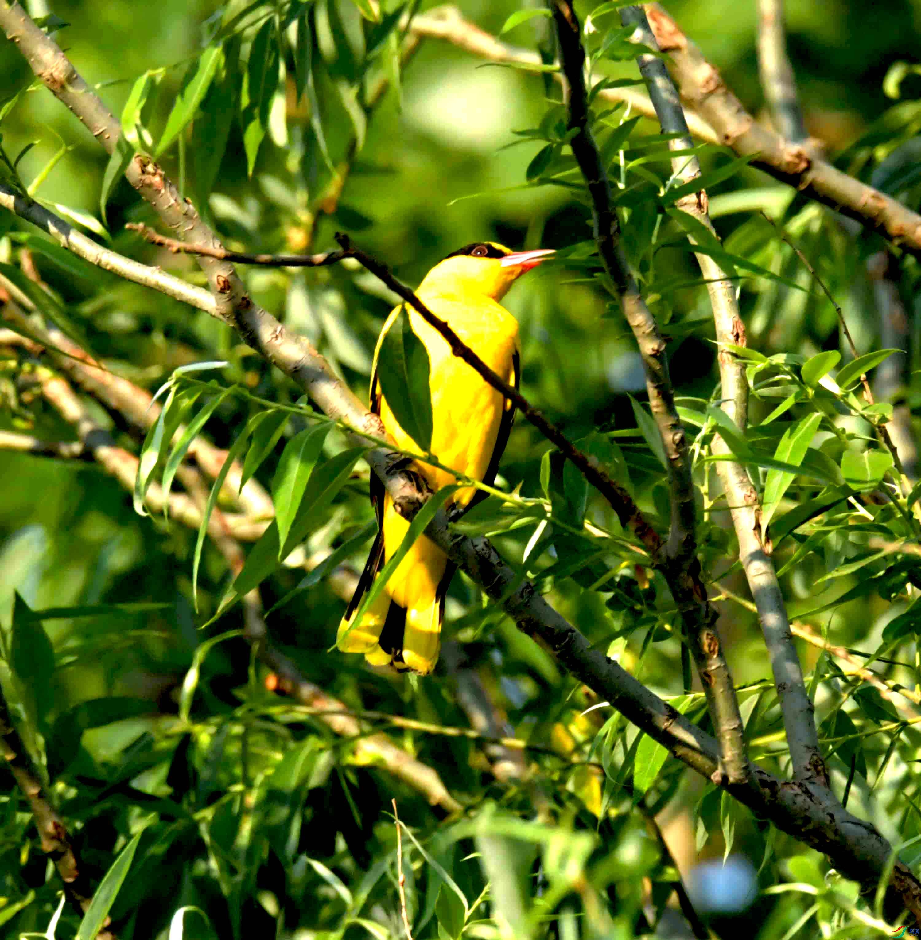 DSC_2755.JPG