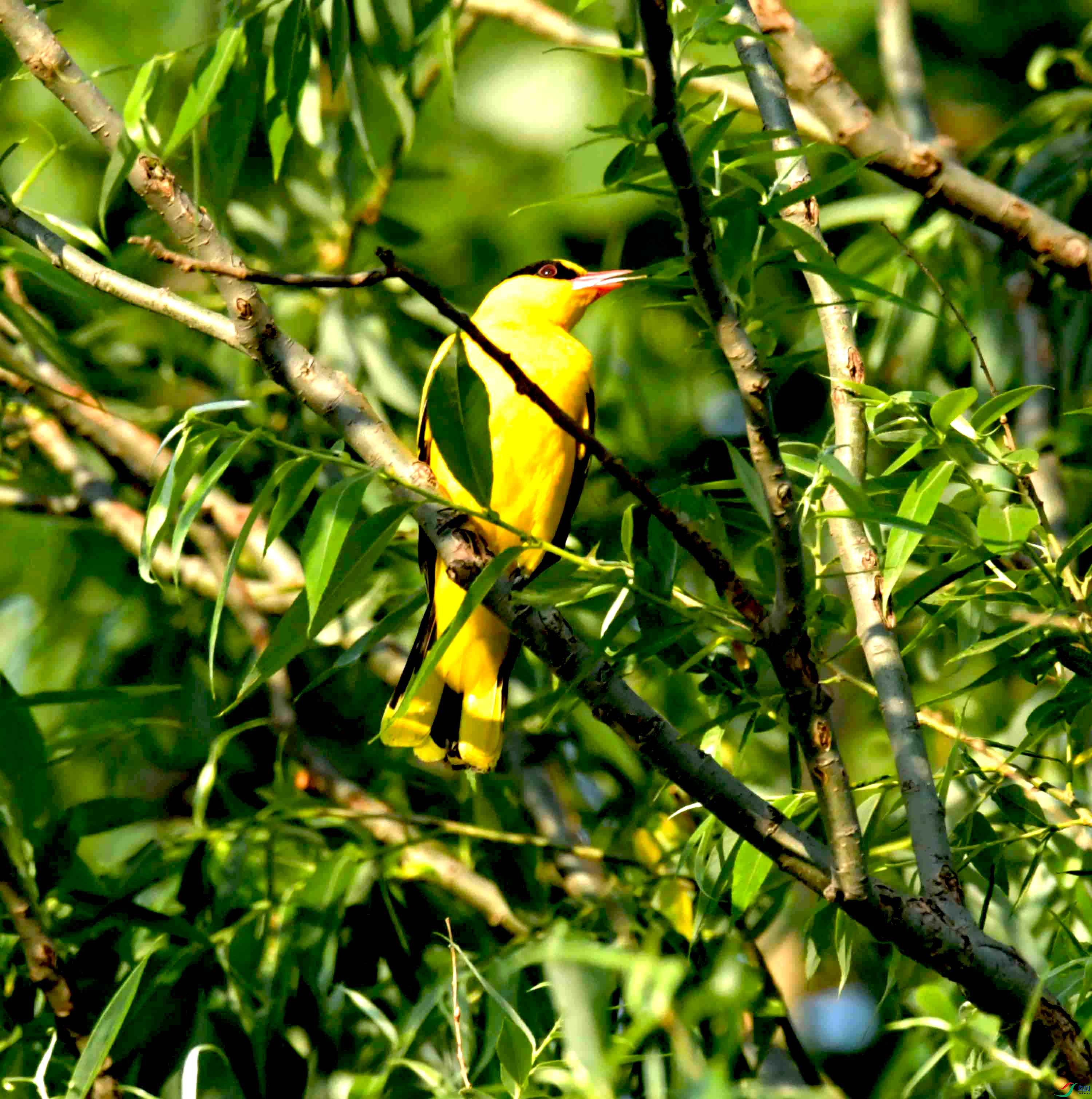 DSC_2756.JPG