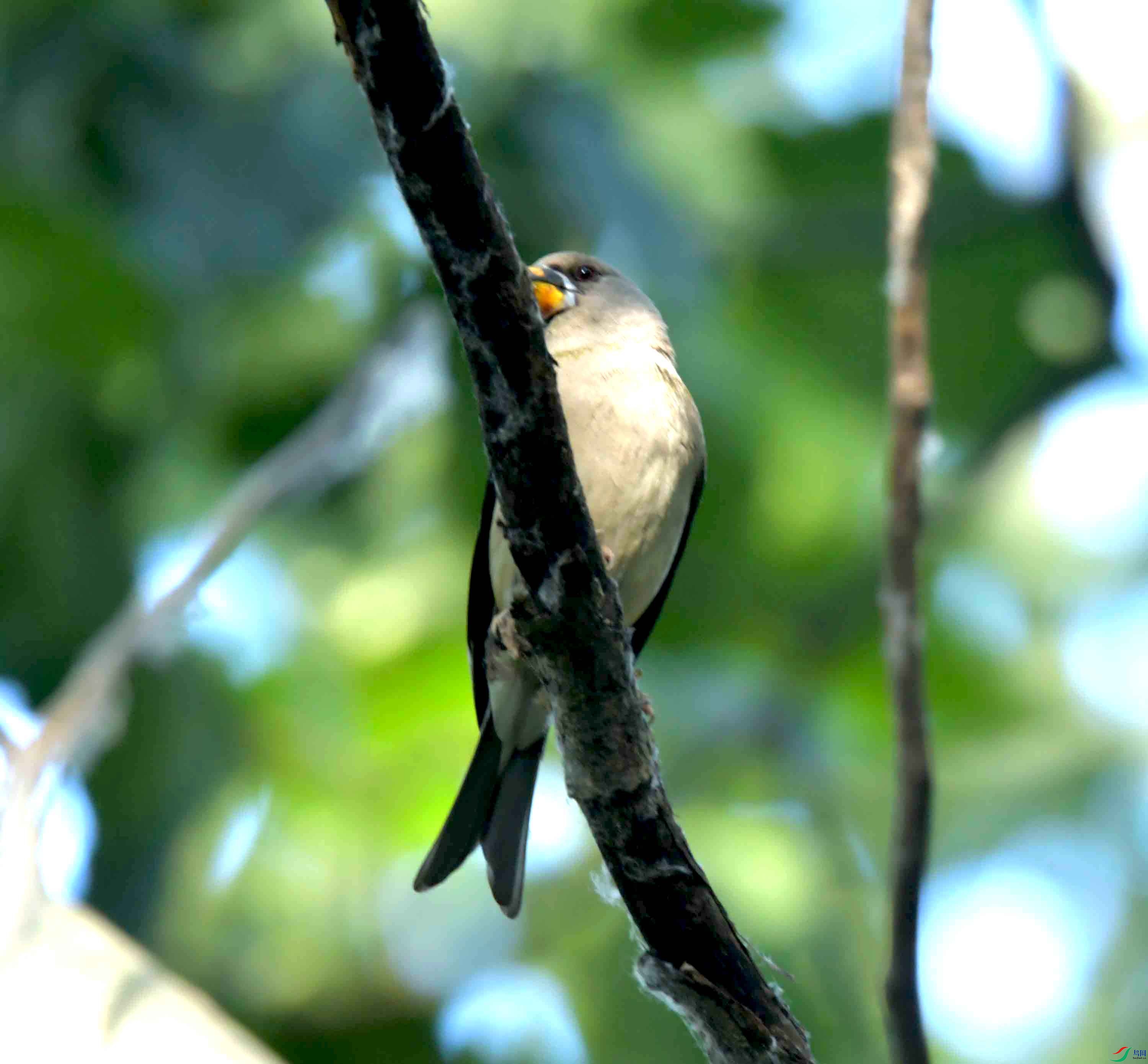DSC_6602.JPG