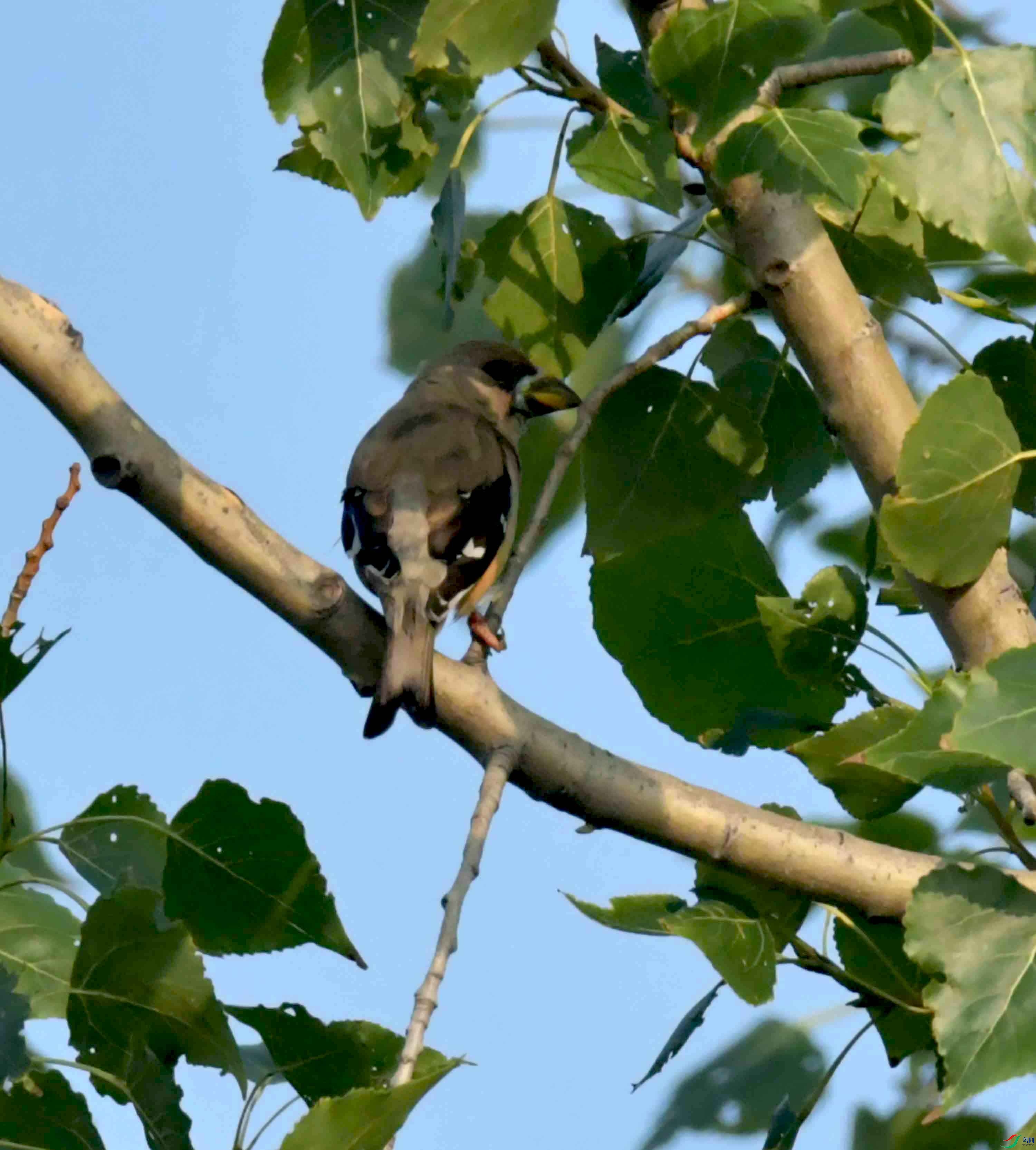 DSC_8784.JPG