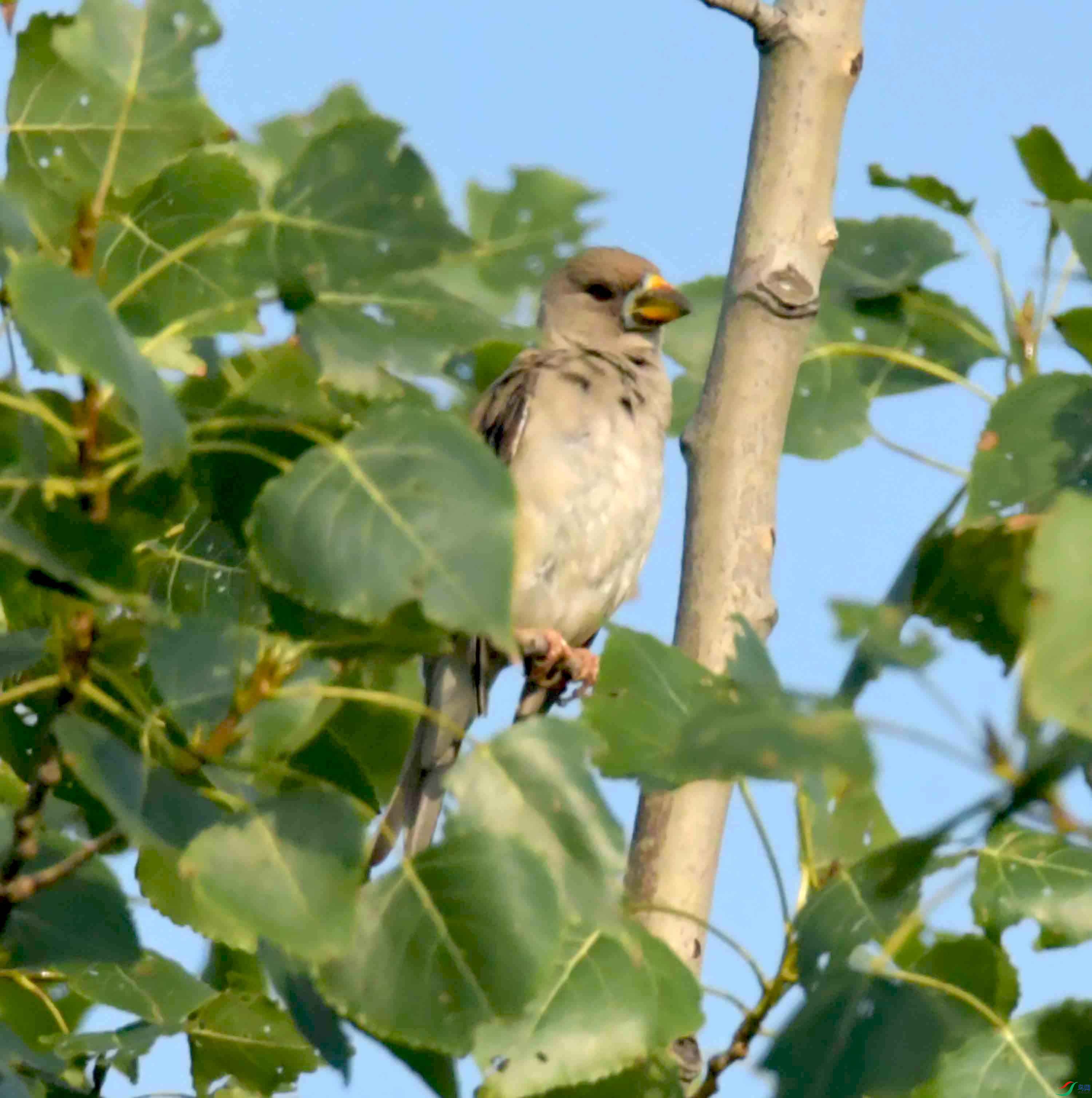 DSC_8788.JPG