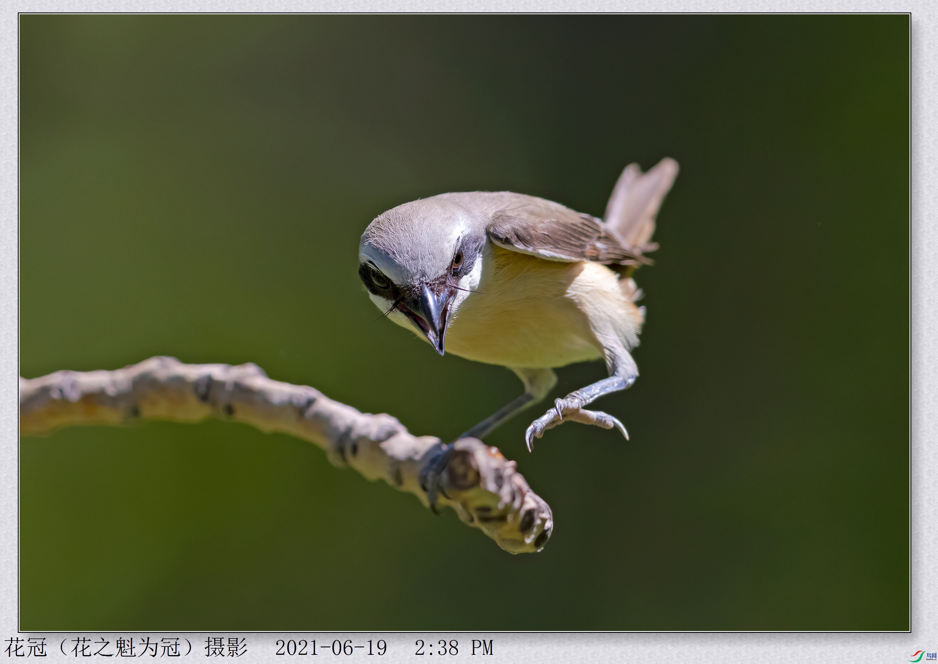 306A2460RAW���JPG�󱳾�ȥ��AA-DeNoiseAI-low-lightB-3_����_����.jpg