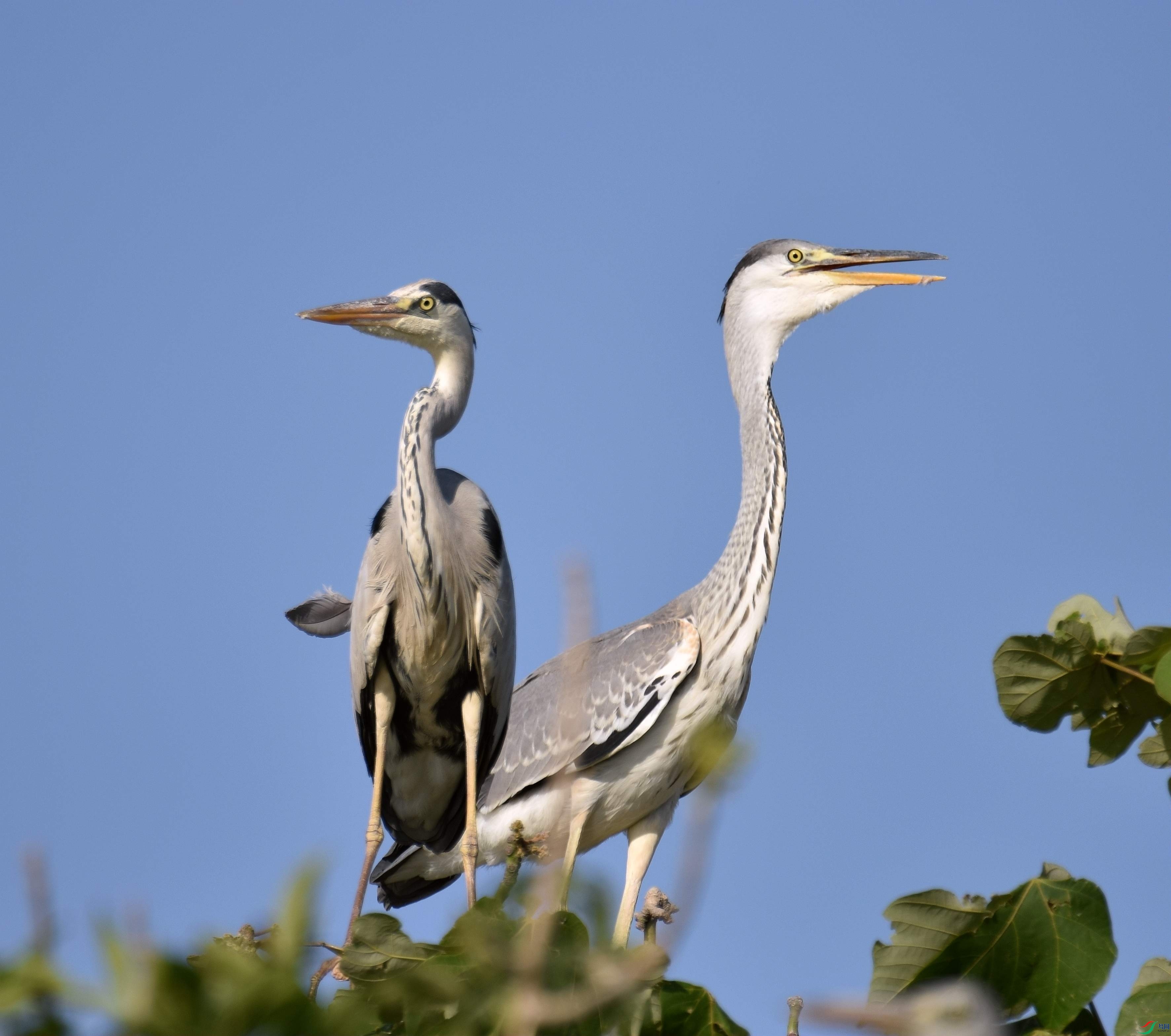 DSC_5092.JPG